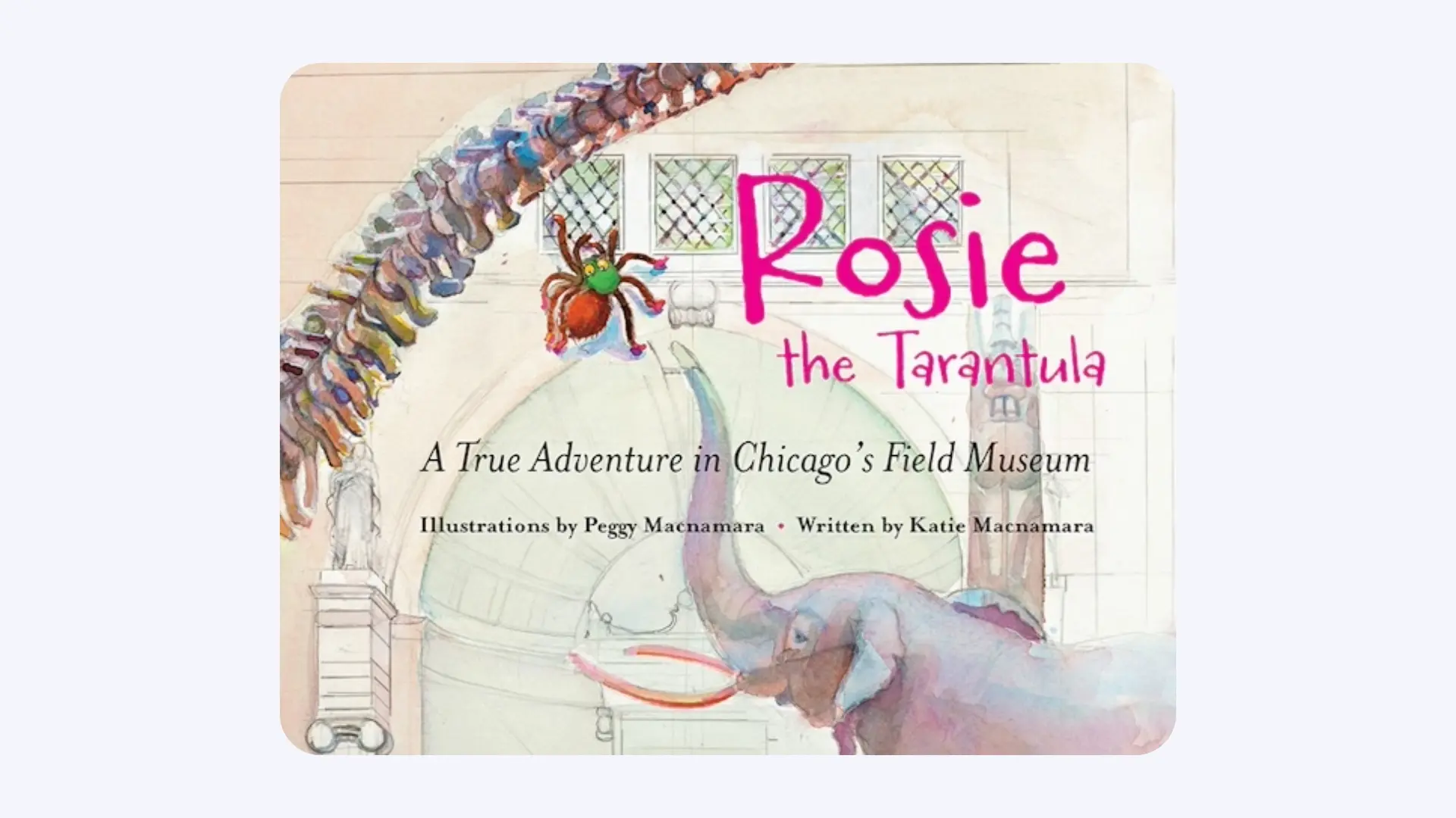 PlayLab PlayDate: Storytime with Jim Louderman and Rosie the Tarantula