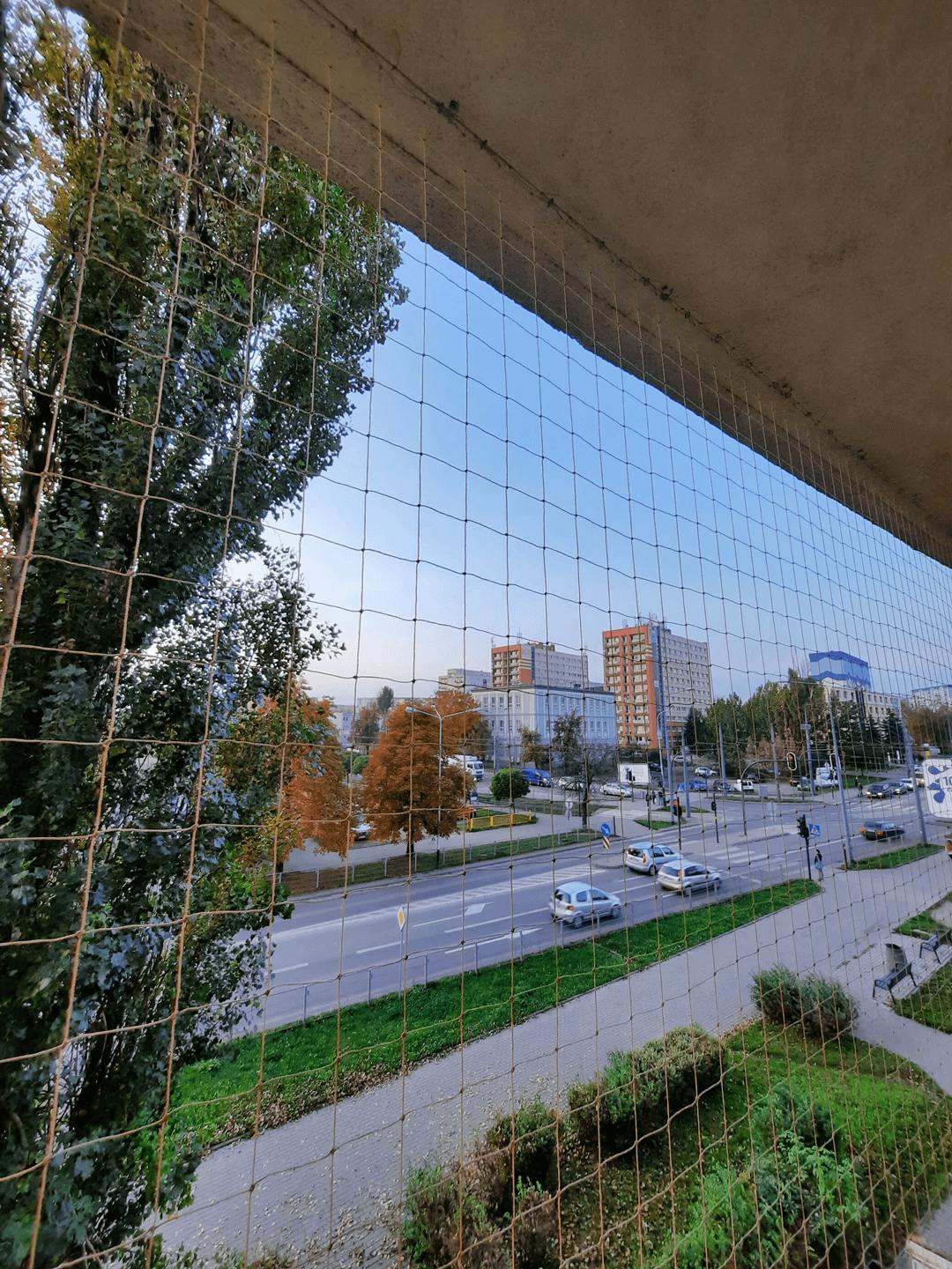 Siatka ochronna na balkon dla kota