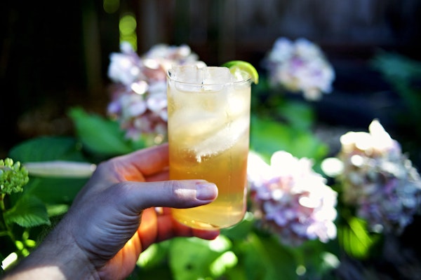 A collins glass filled with a golden cocktail, being held in front of a flower bush