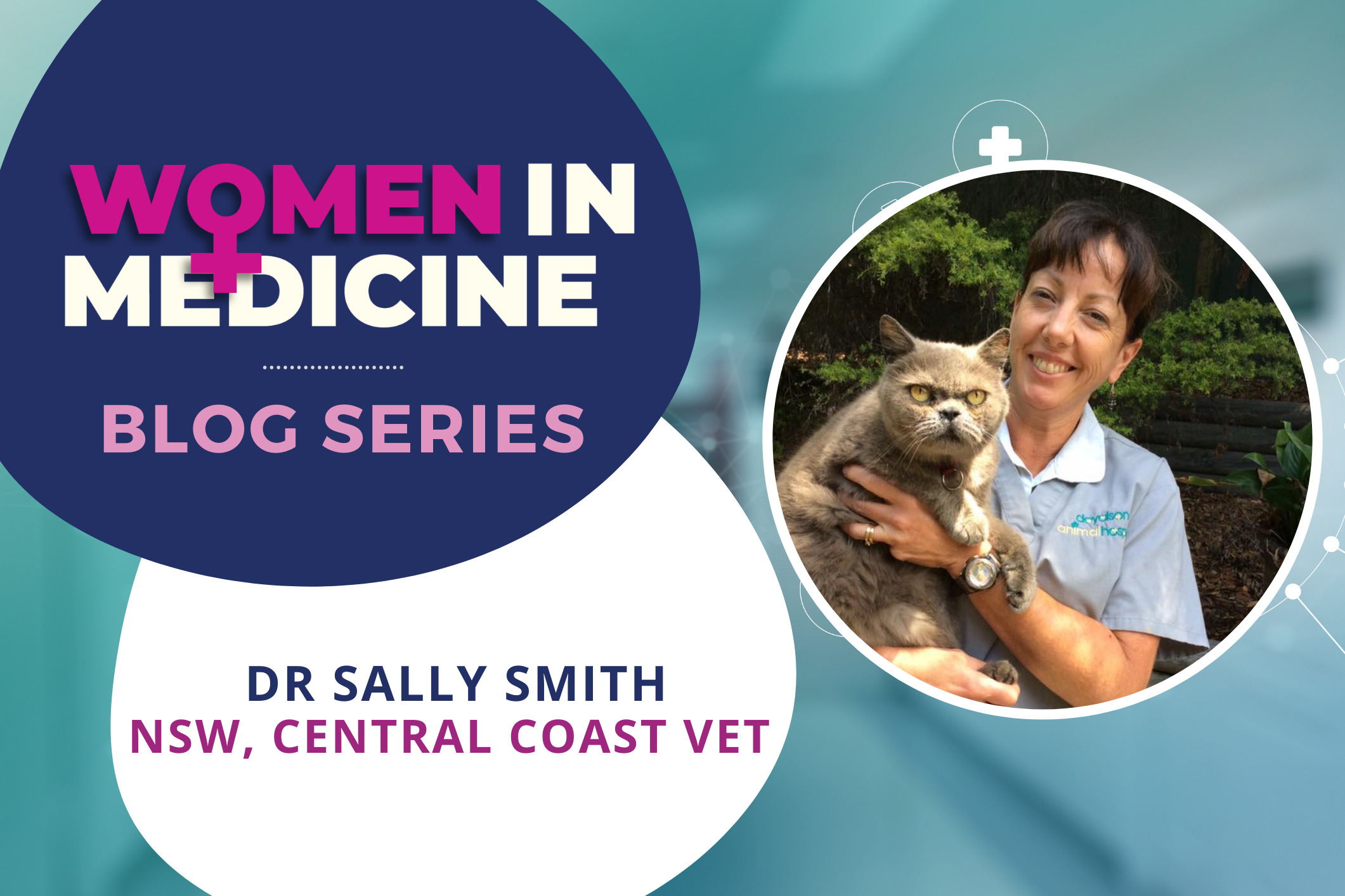 Women in Medicine Series - Spotlight on NSW Central Coast Vet, Dr Sally Smith Image