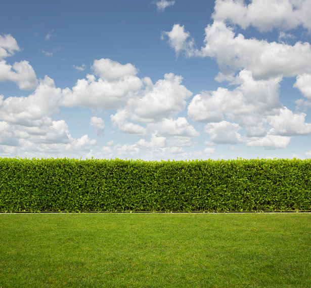 Do you need a hedge? Image