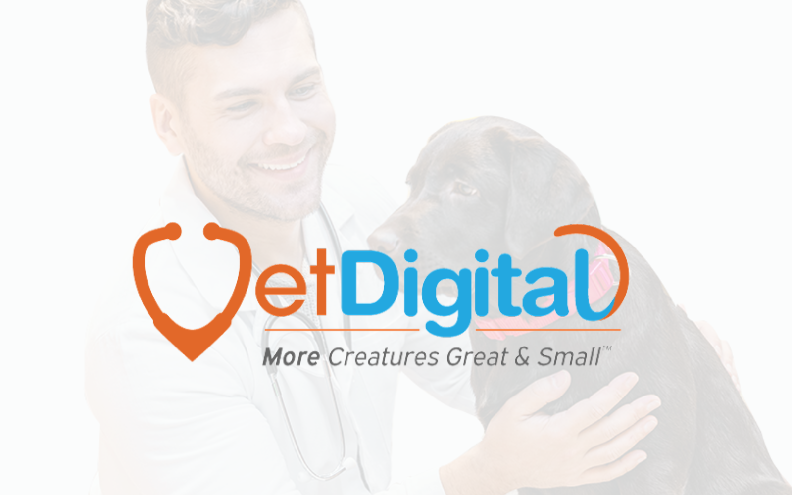 vetdigital banner