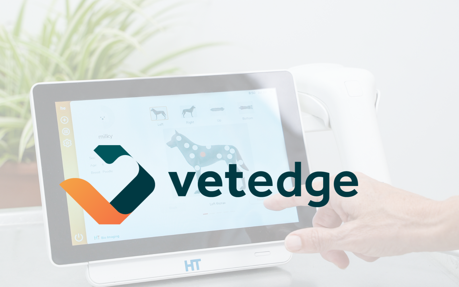 Vet Edge