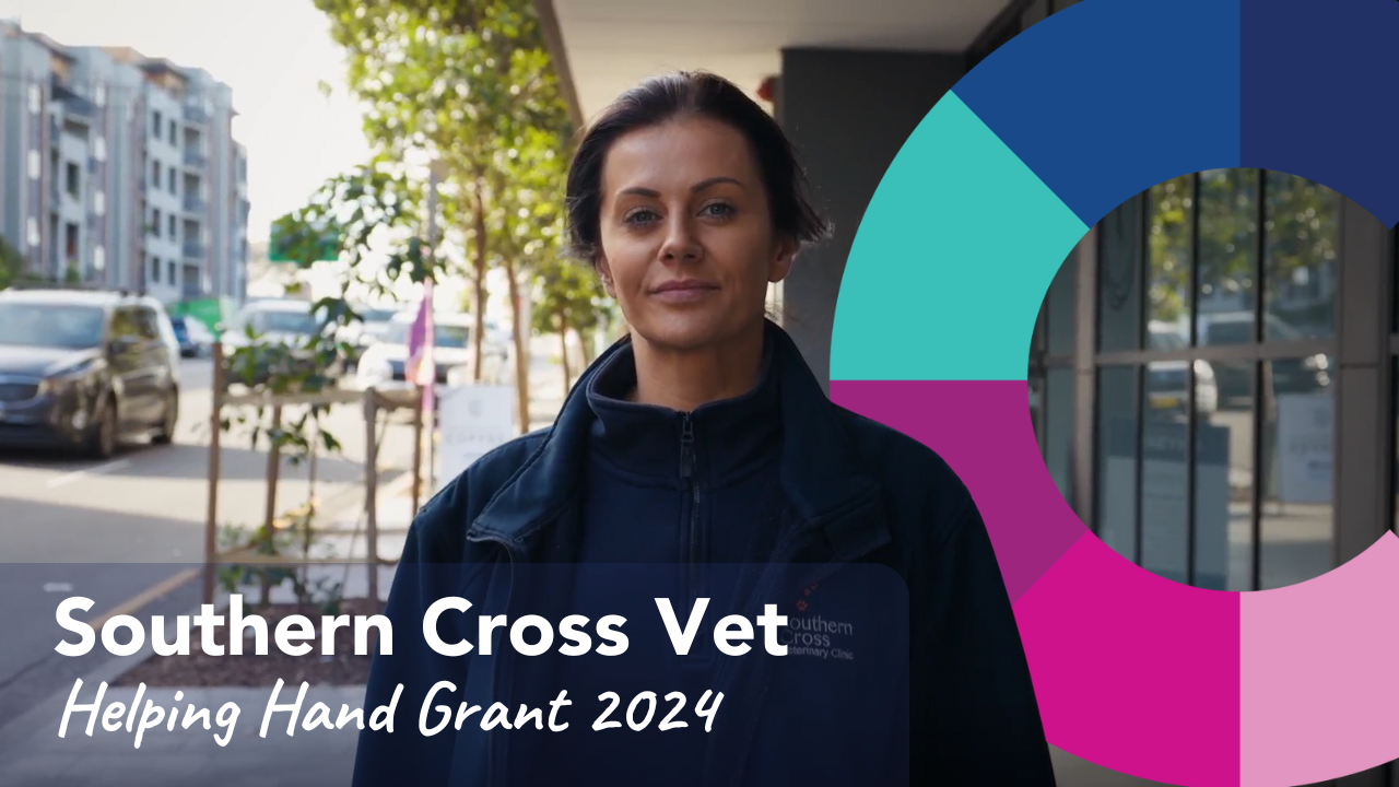 Southern Cross Vet