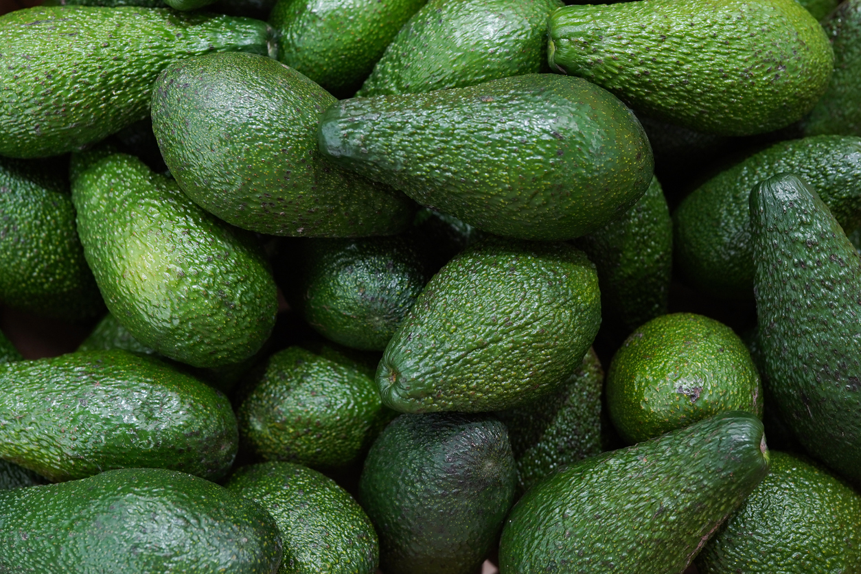 Avocados