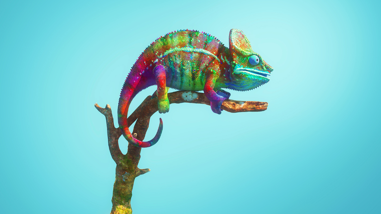 chameleon of cashflow solutions