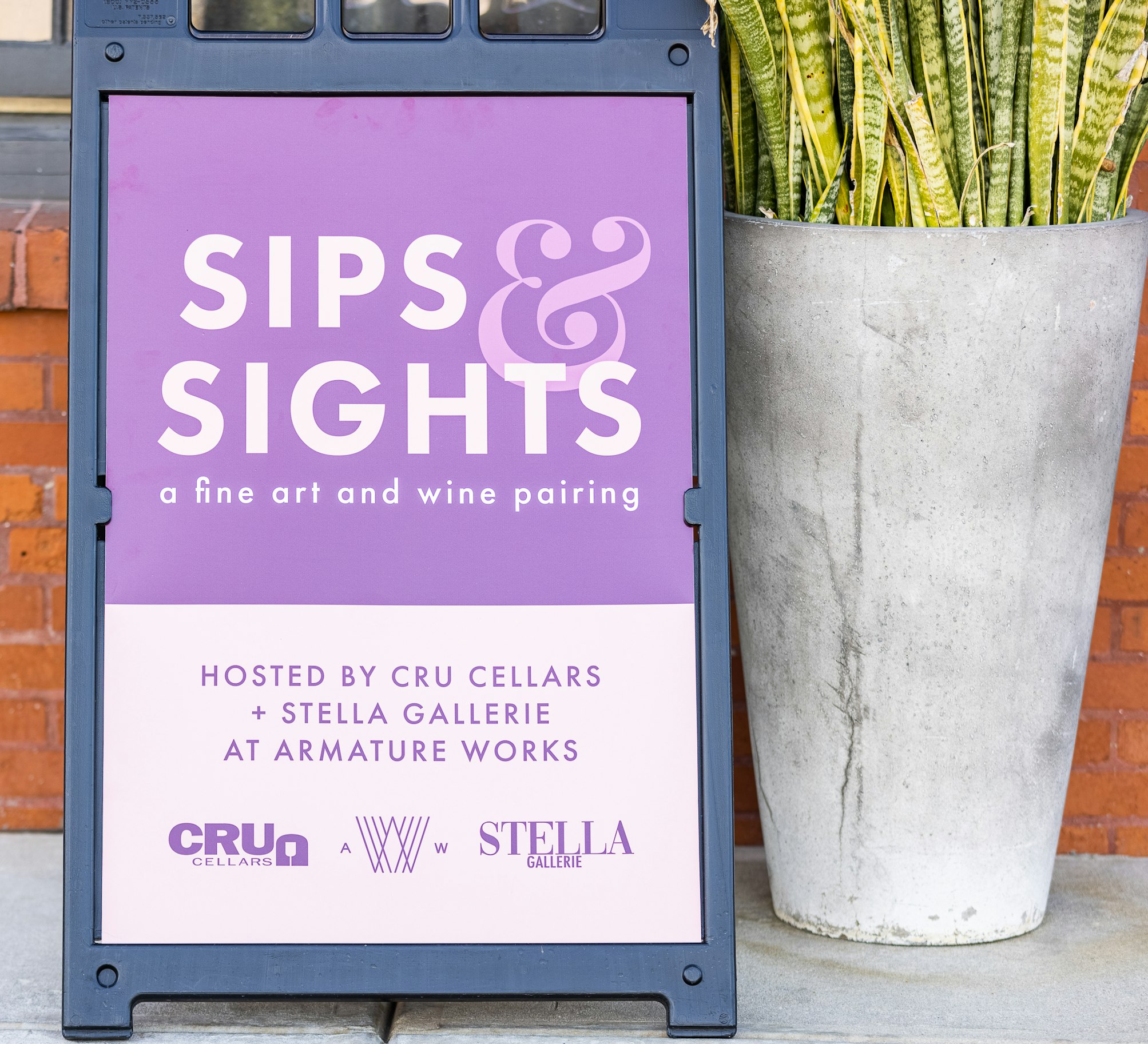 sips and sight