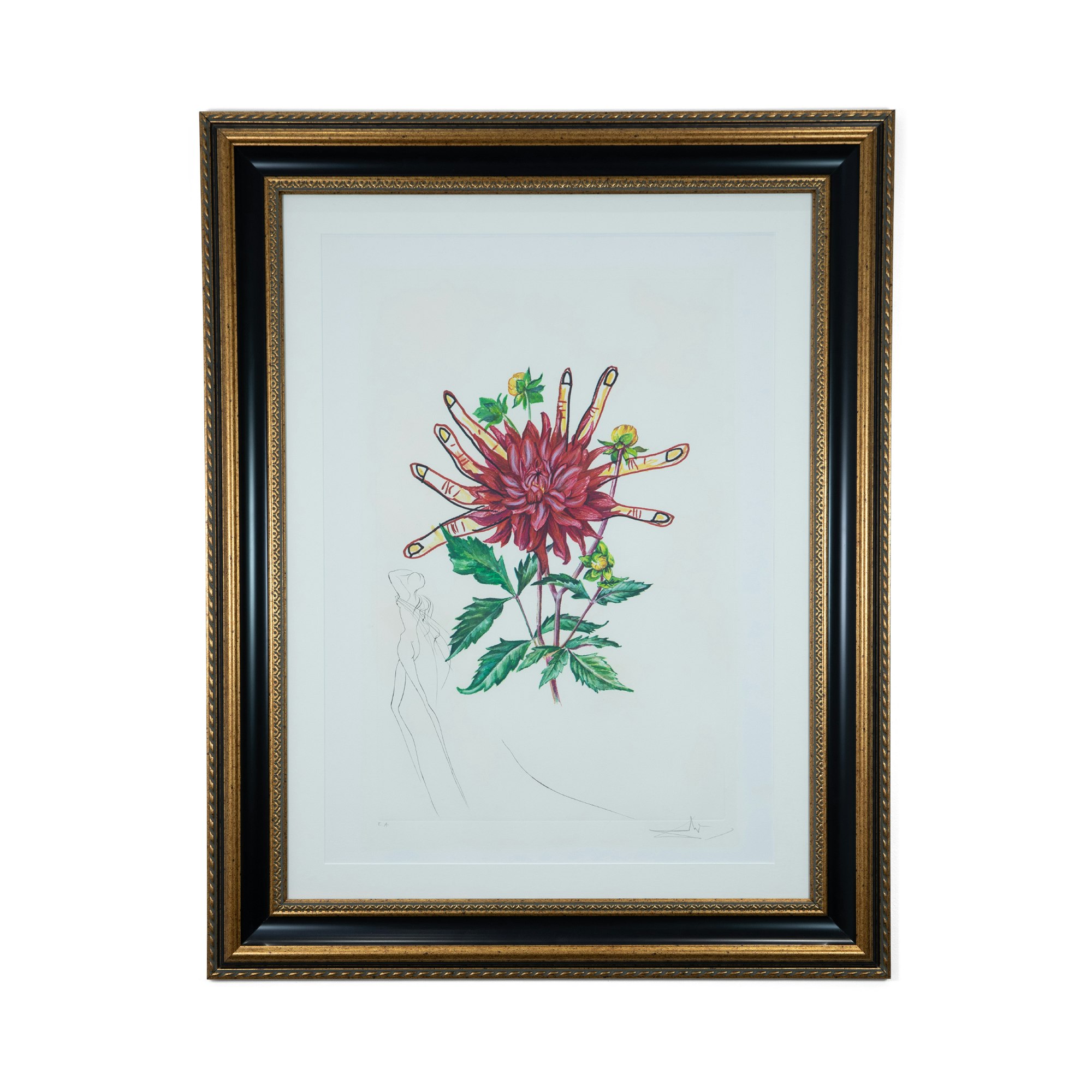 Dahlia flower with fingers