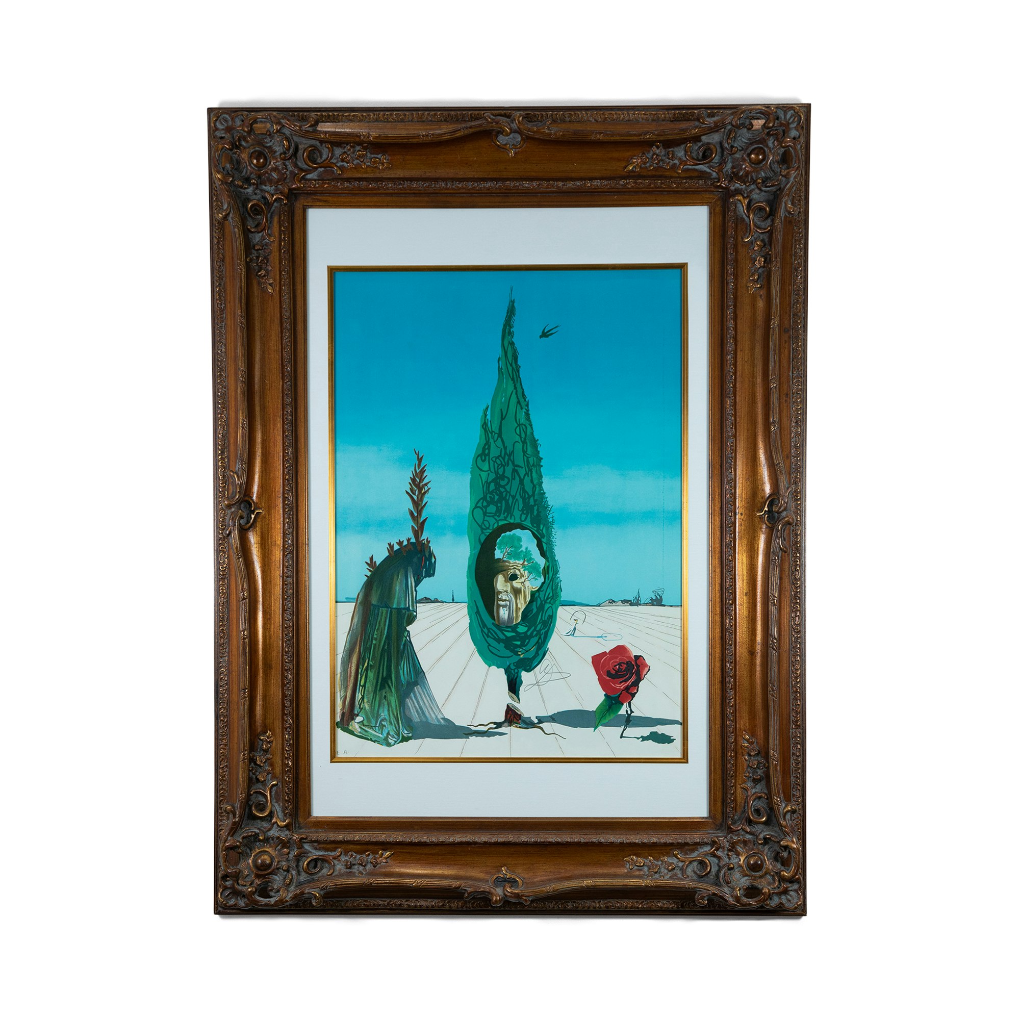 Enigma of the Rose