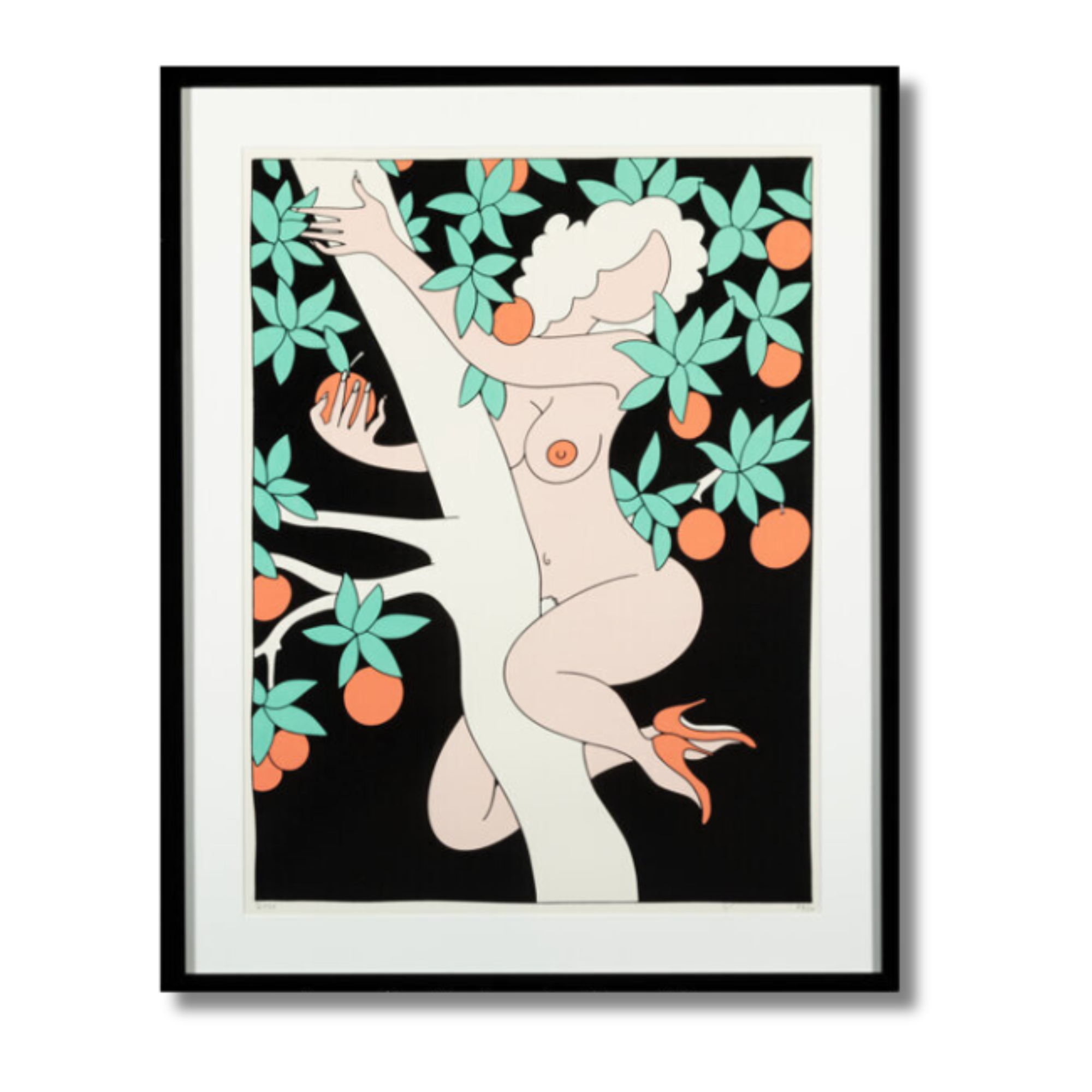 Blood Orange  Fucci (b. 1991)