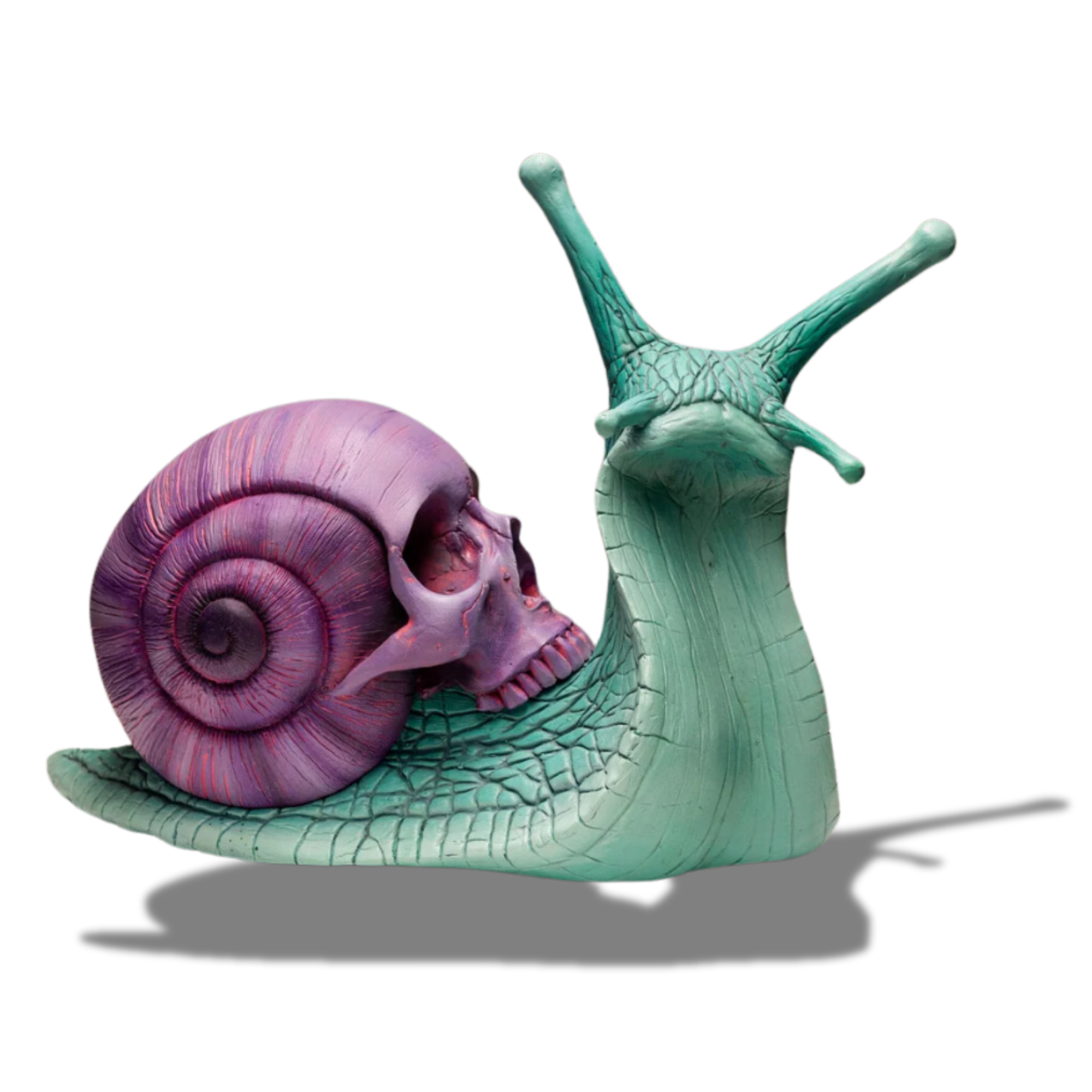 Psychedelic Snail