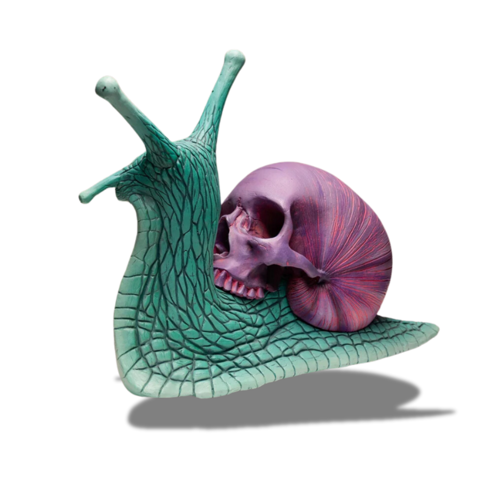 Psychedelic Snail