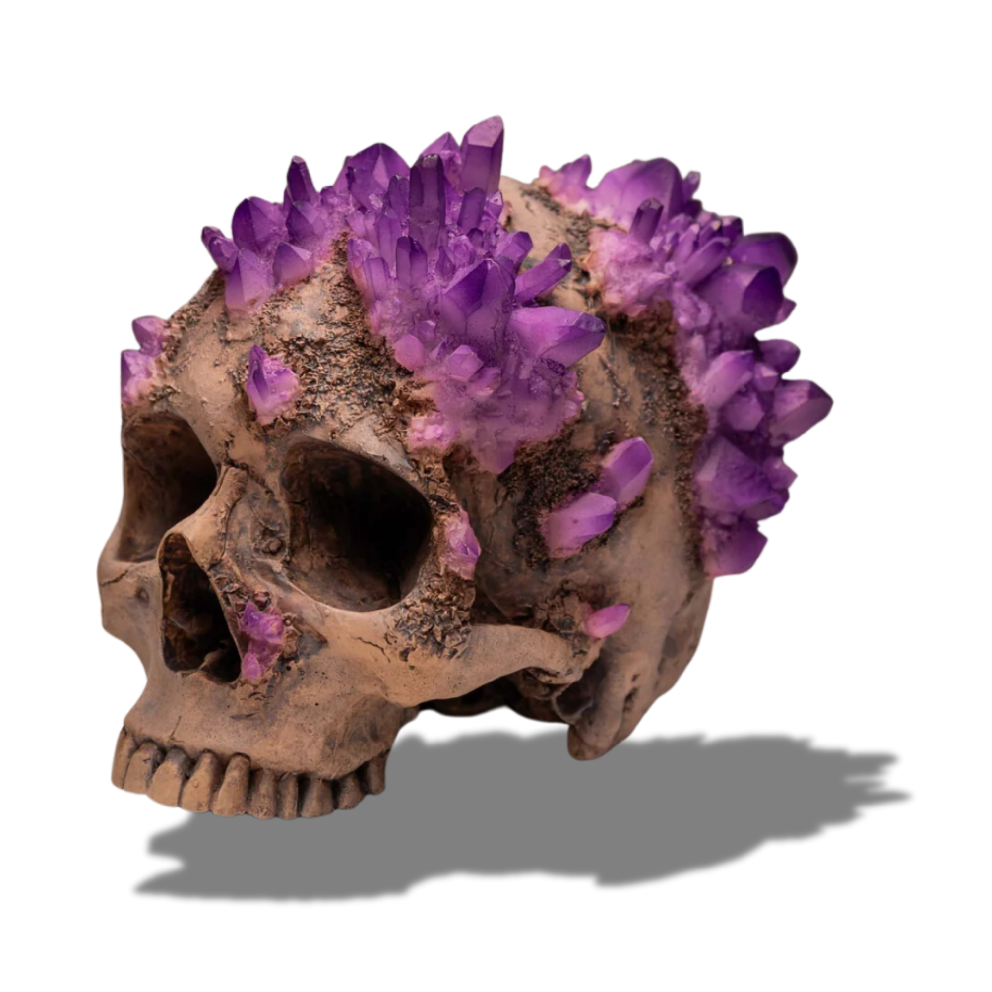 Amethyst Skull