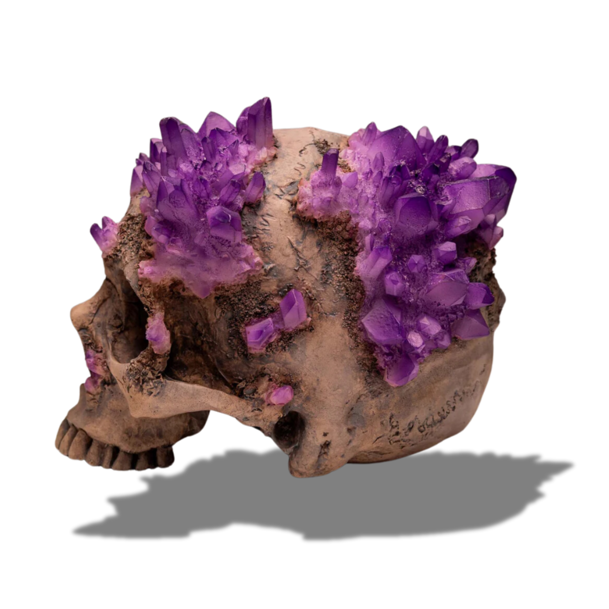 Amethyst Skull