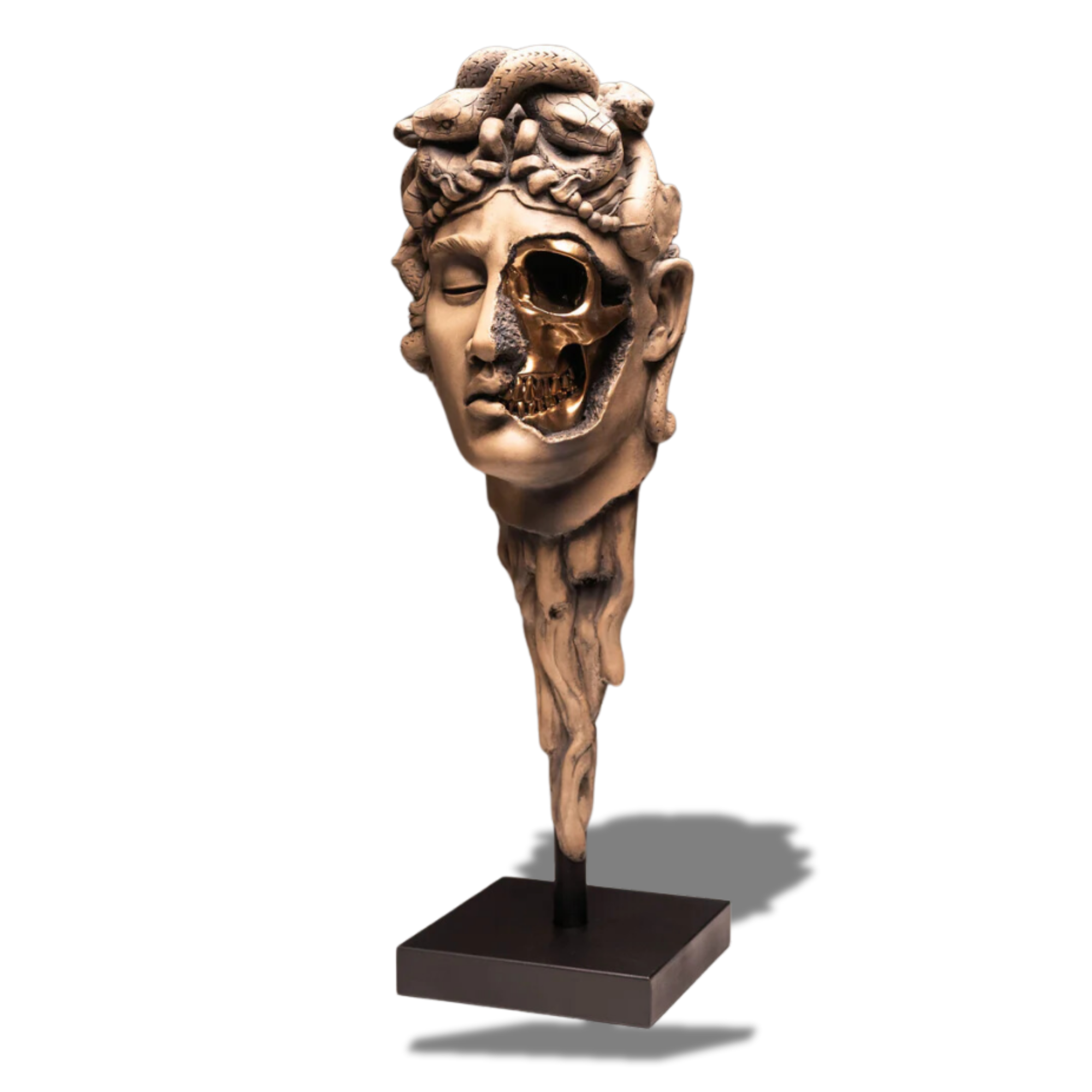 Medusa (Sandstone)