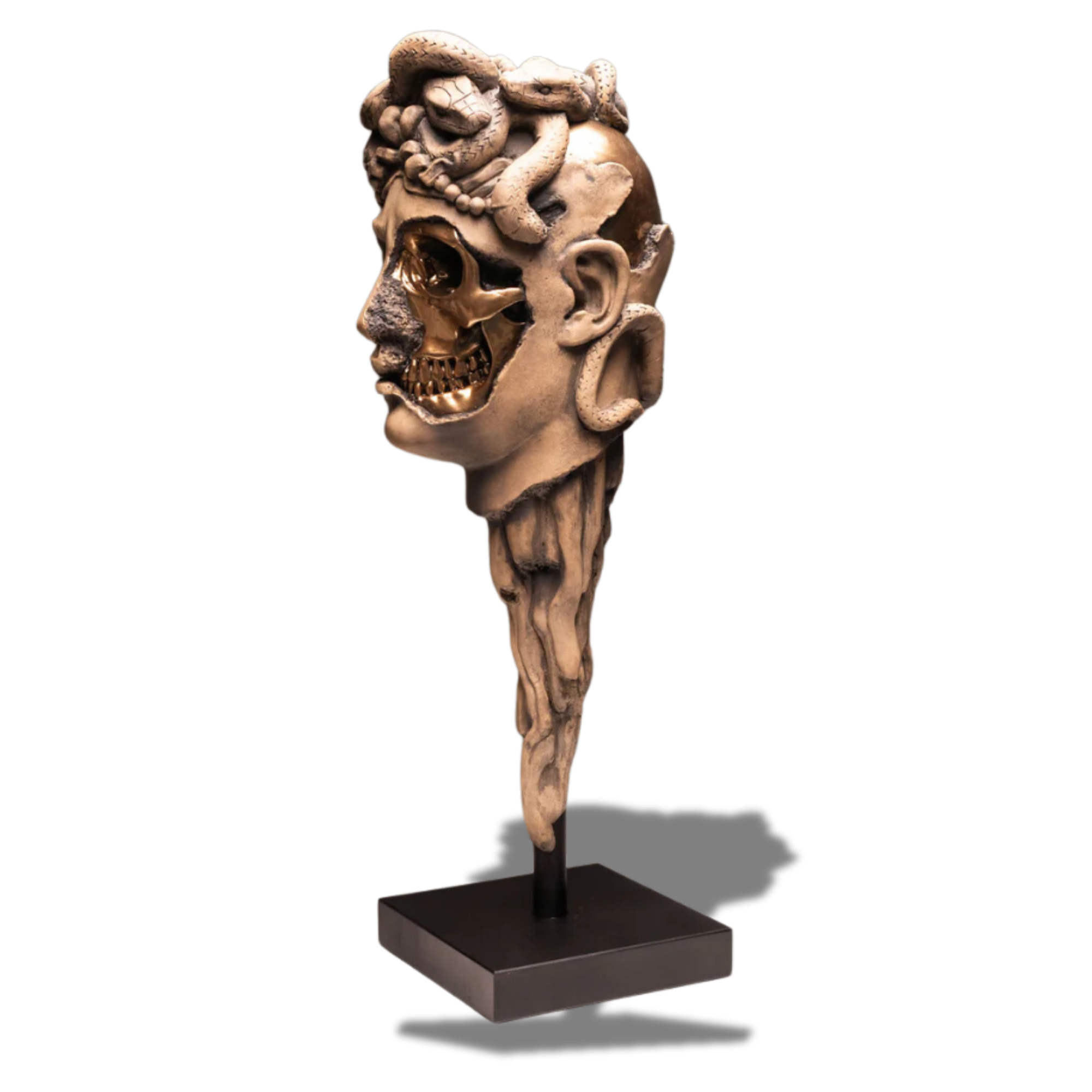 Medusa (Sandstone)