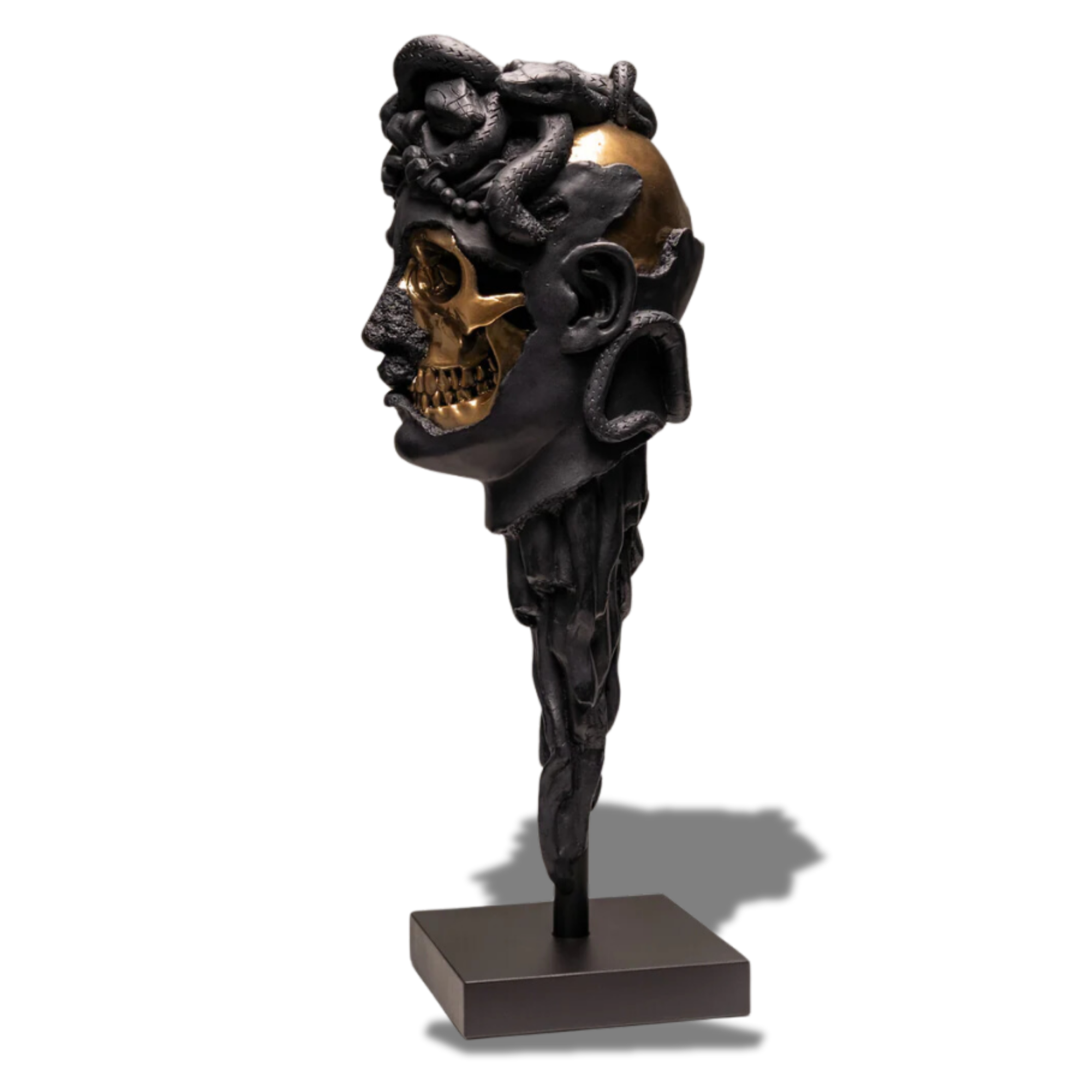 Medusa (Black)
