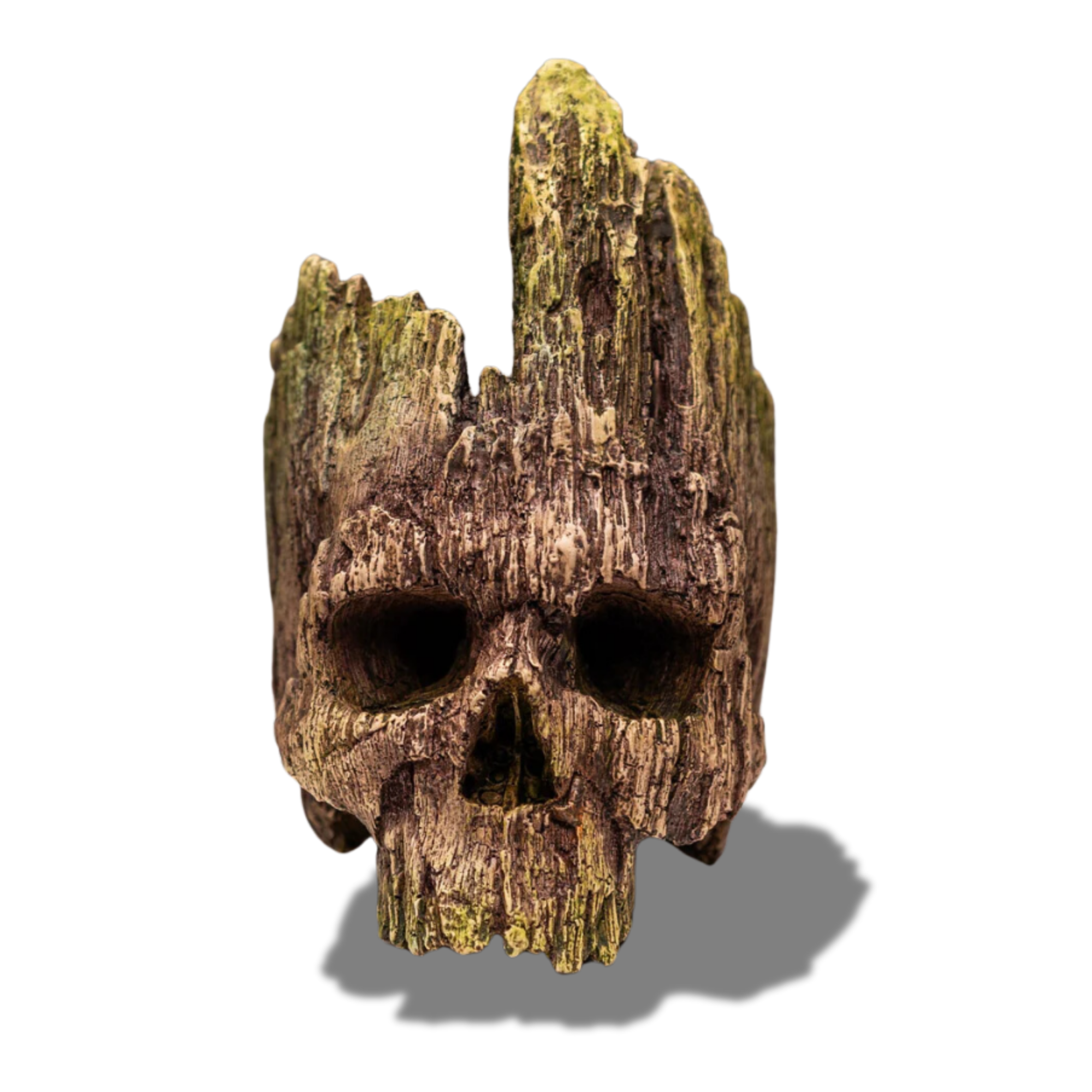 Dead Wood