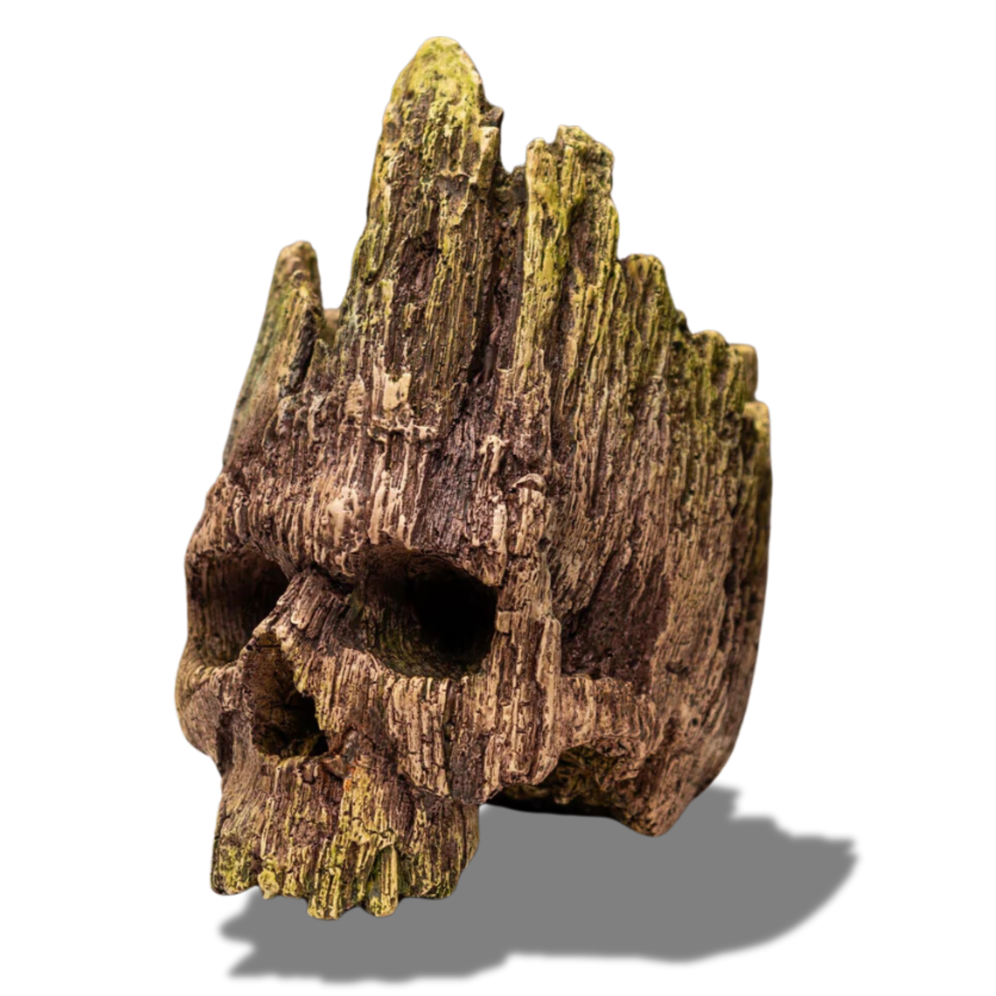 Dead Wood