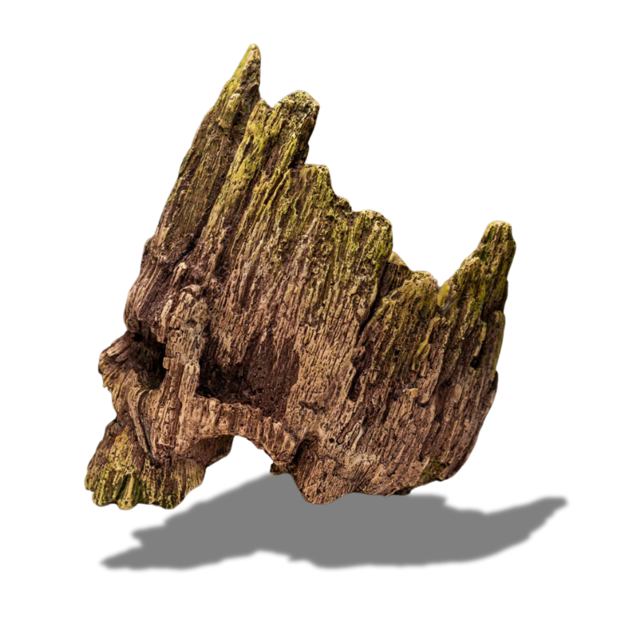 Dead Wood