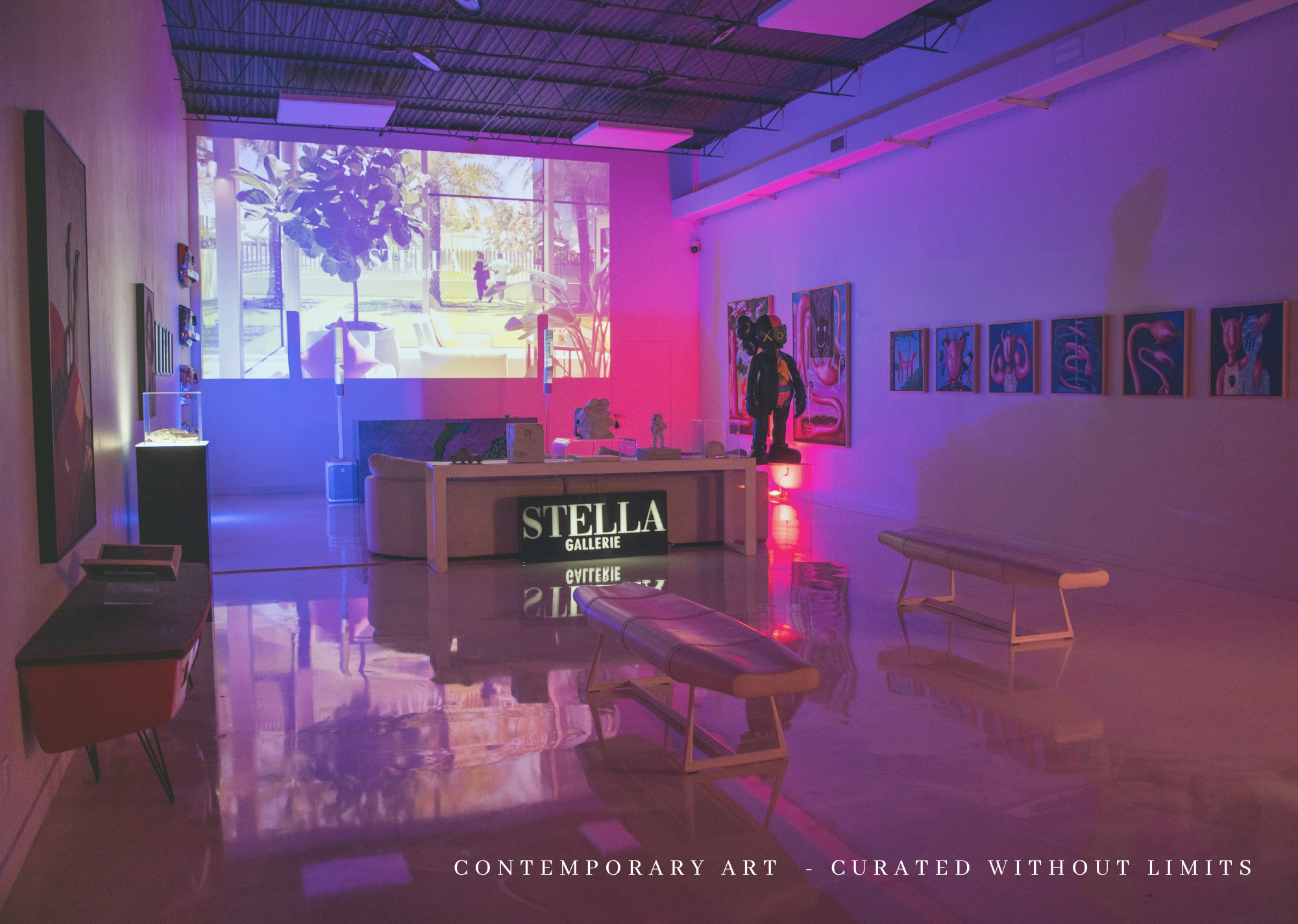 STELLA MIAMI AT NIGHT