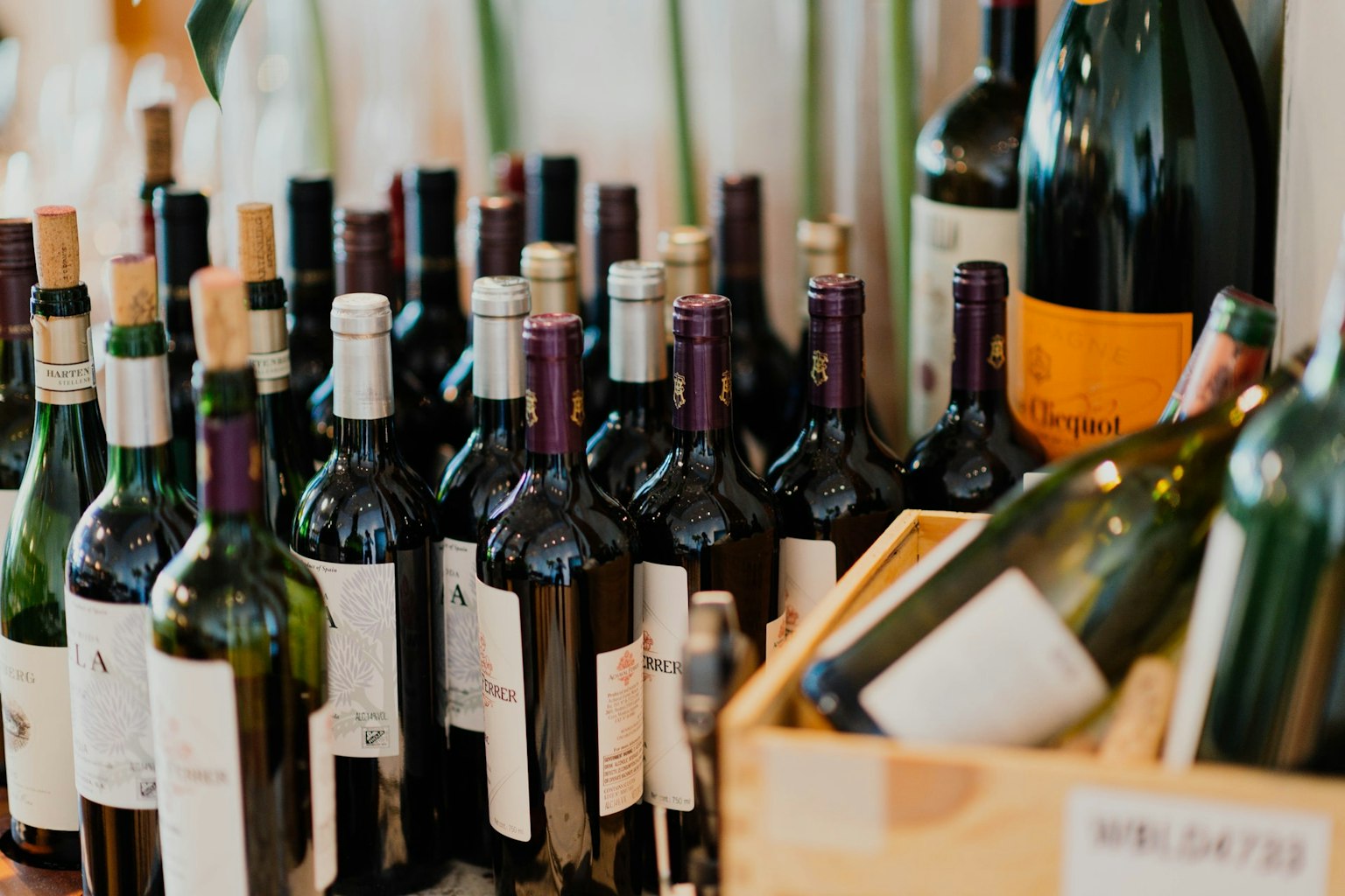 Ouvrir une cave à vin le métier de caviste