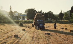 agriculteur maraîcher