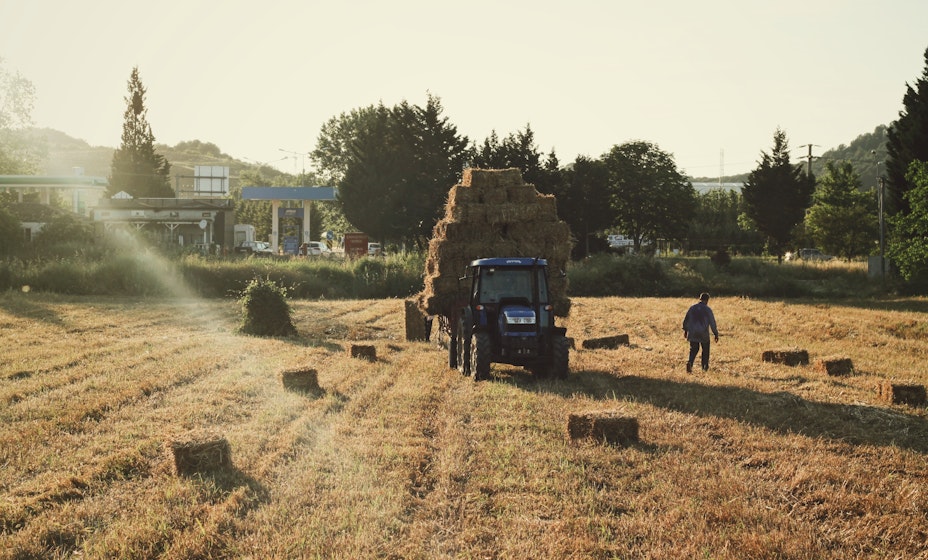 agriculteur maraîcher