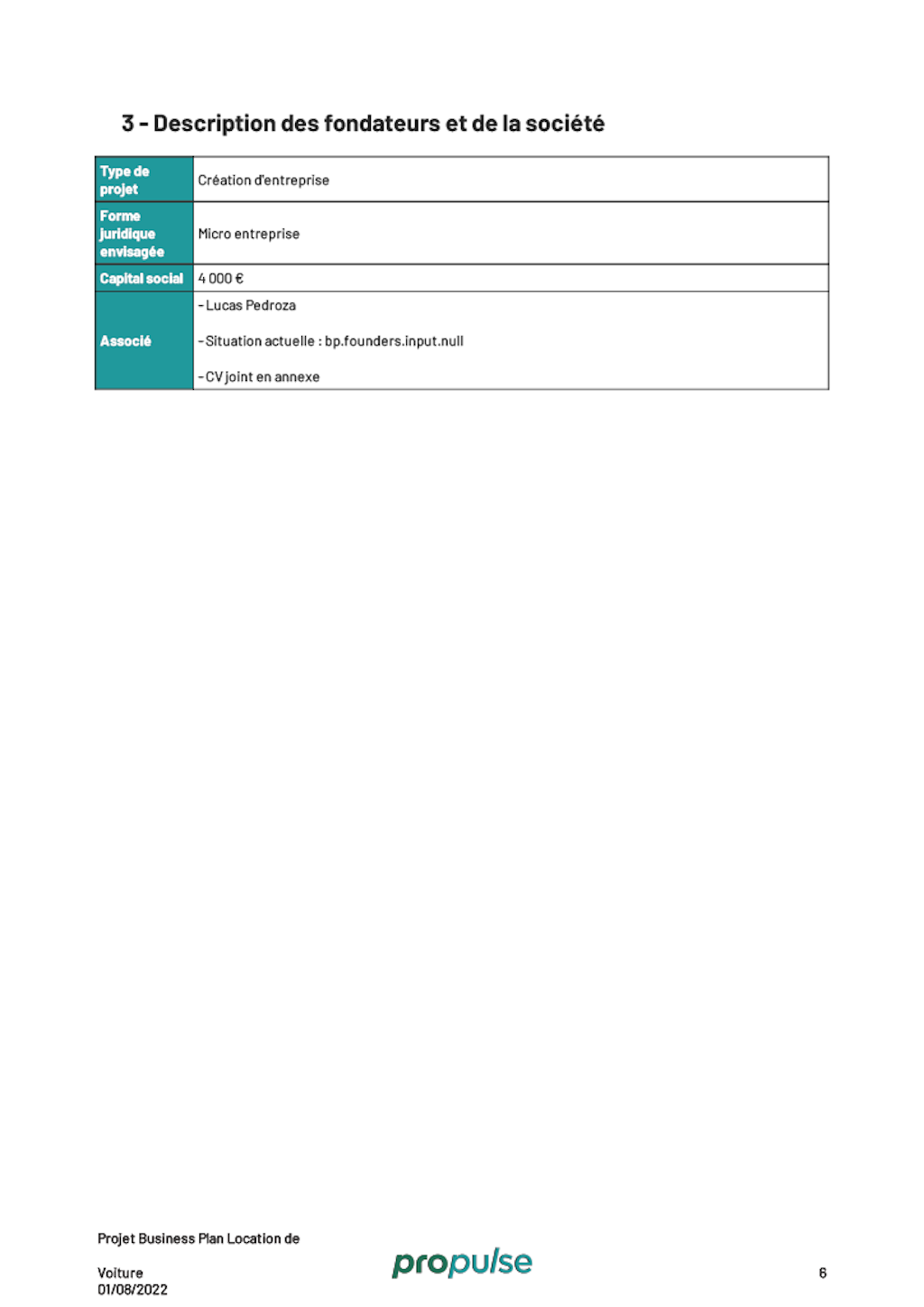 business plan loueur de voiture statut juridique