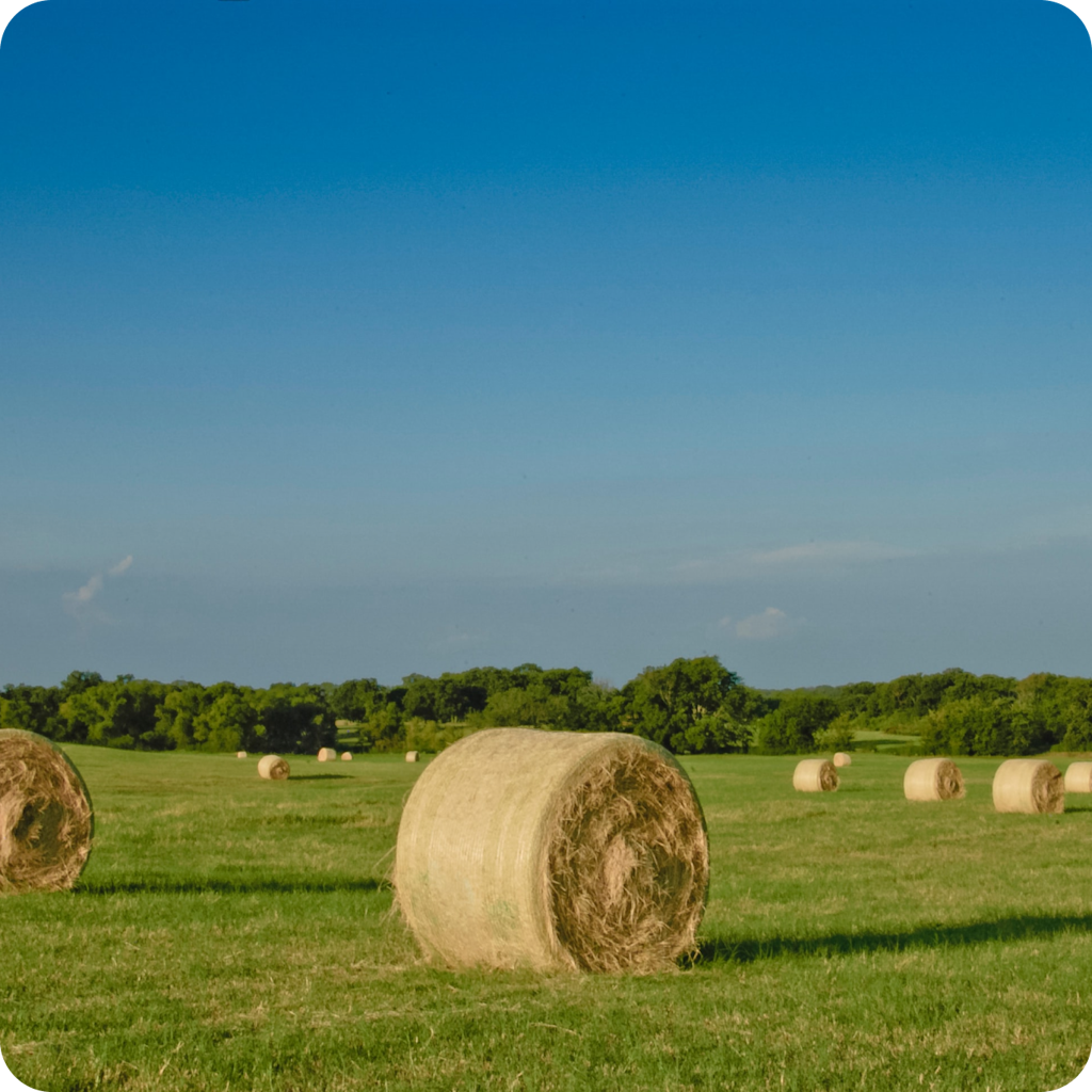 Caisse régionale  Crédit Agricole Centre Ouest