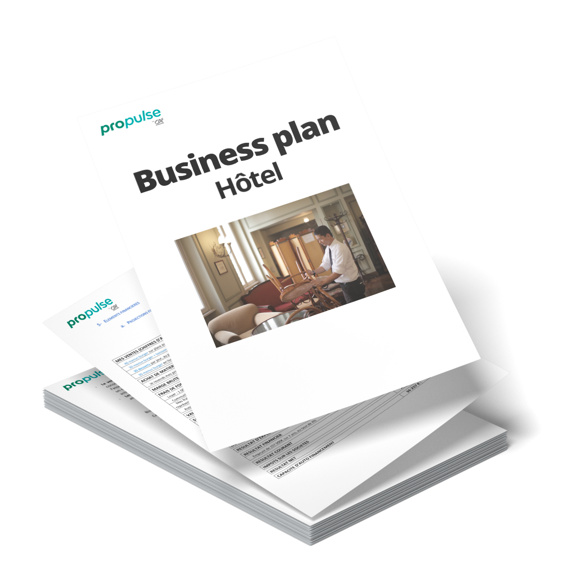 Exemple Business plan hotel