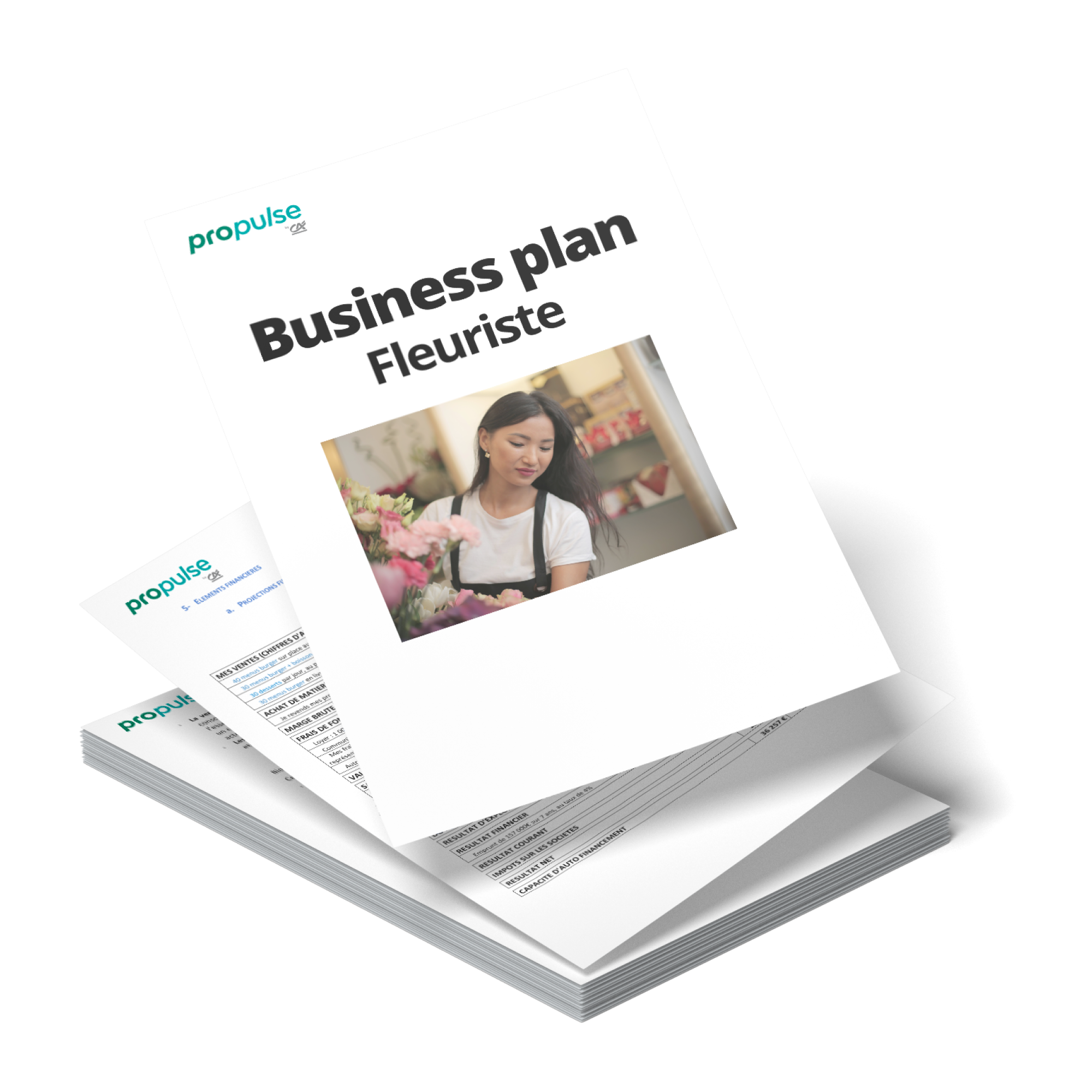 Business plan fleuriste