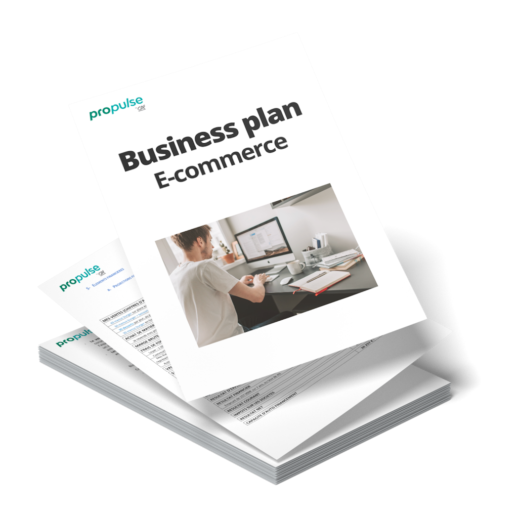 Exemple business plan e-commerce Modèle de business plan e-commerce