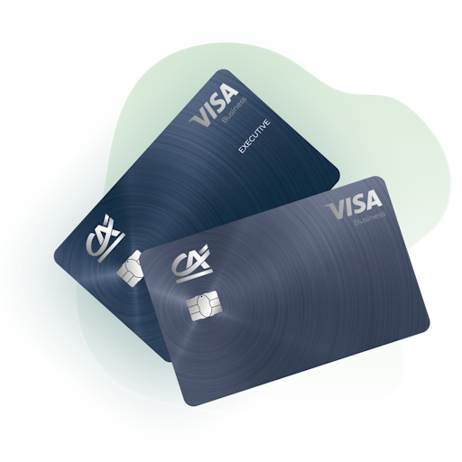 Carte bancaire Pro