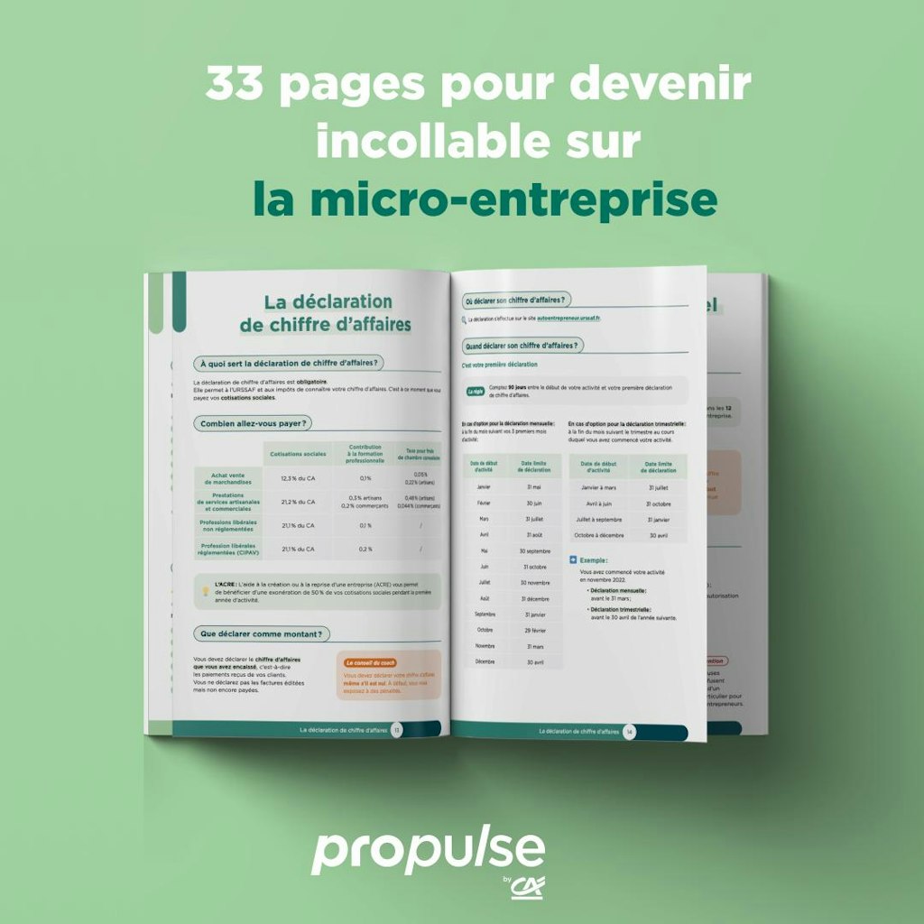 Guide de la microentreprise PDF Propulse by CA