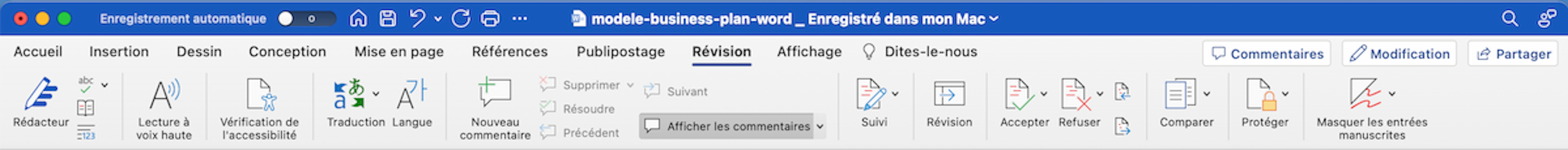 correction-business-plan-word