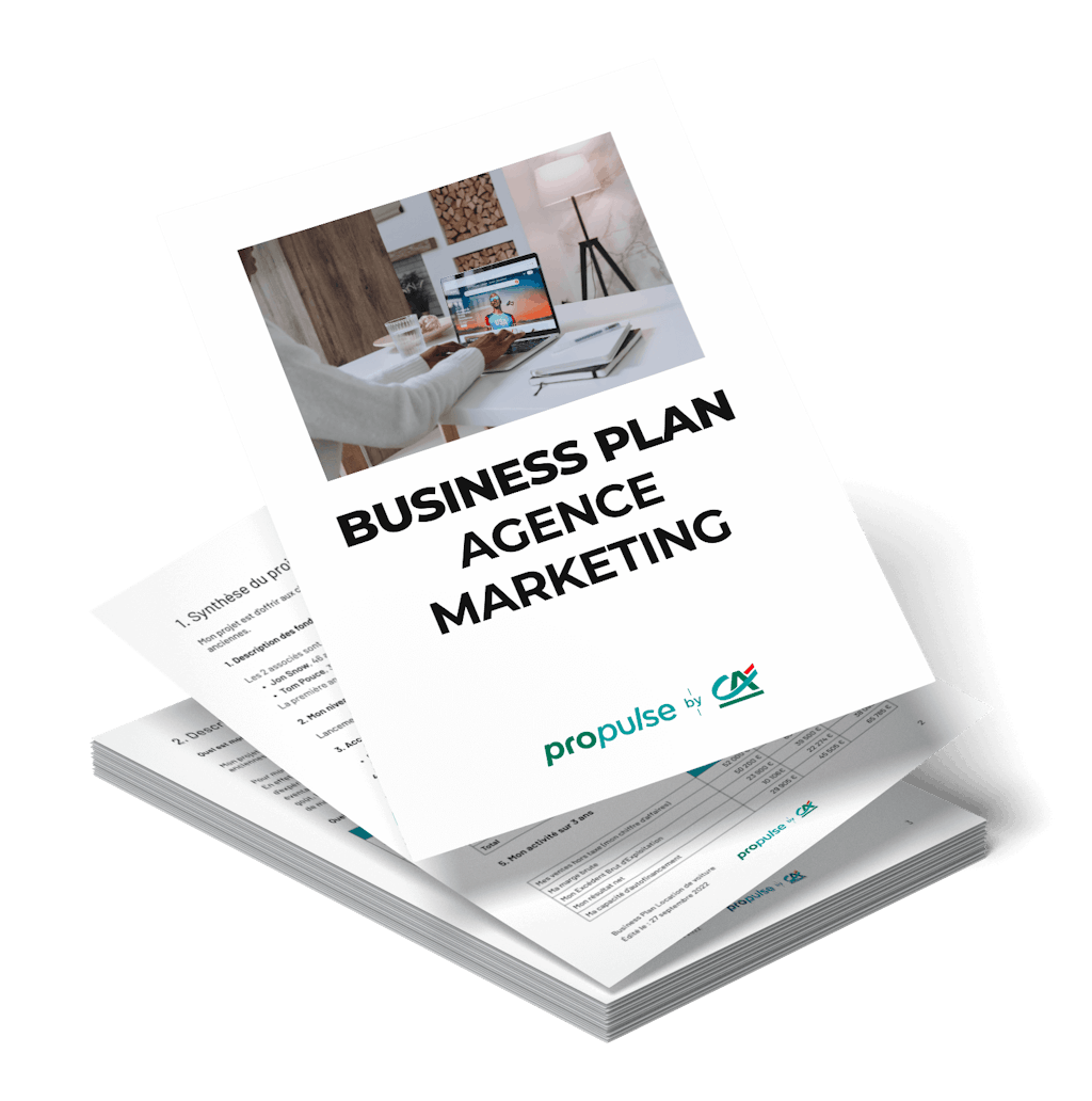 Business plan Agence Web business plan agence web
