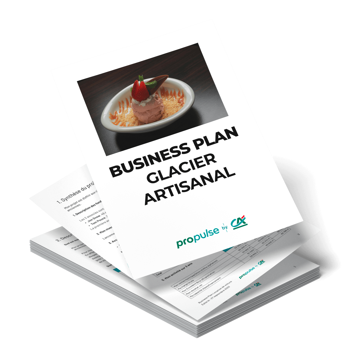 business plan glacier artisanal
