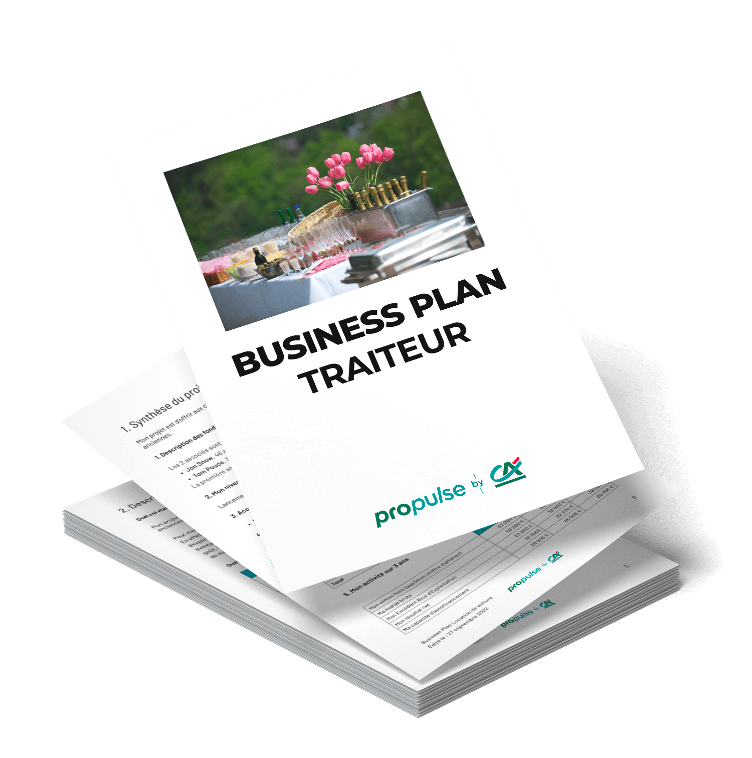 business-plan-pdf-t-l-chargez-le-v-tre-parmi-50-mod-les