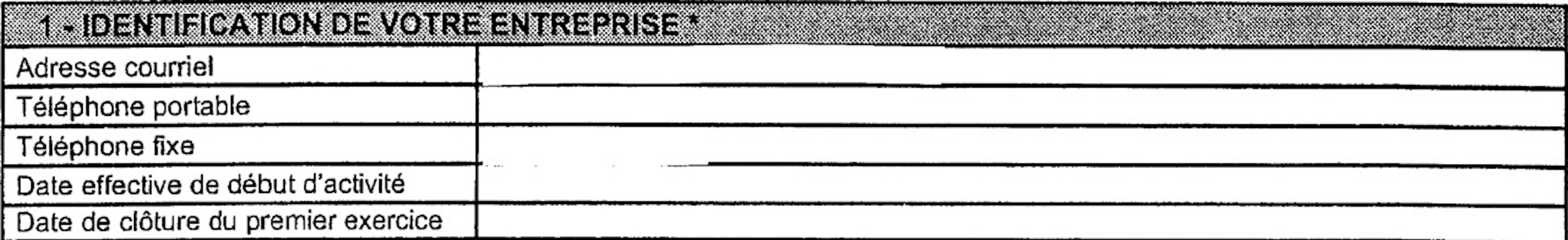 Questionnaire relatif à l'activité professionnelle (Identification)