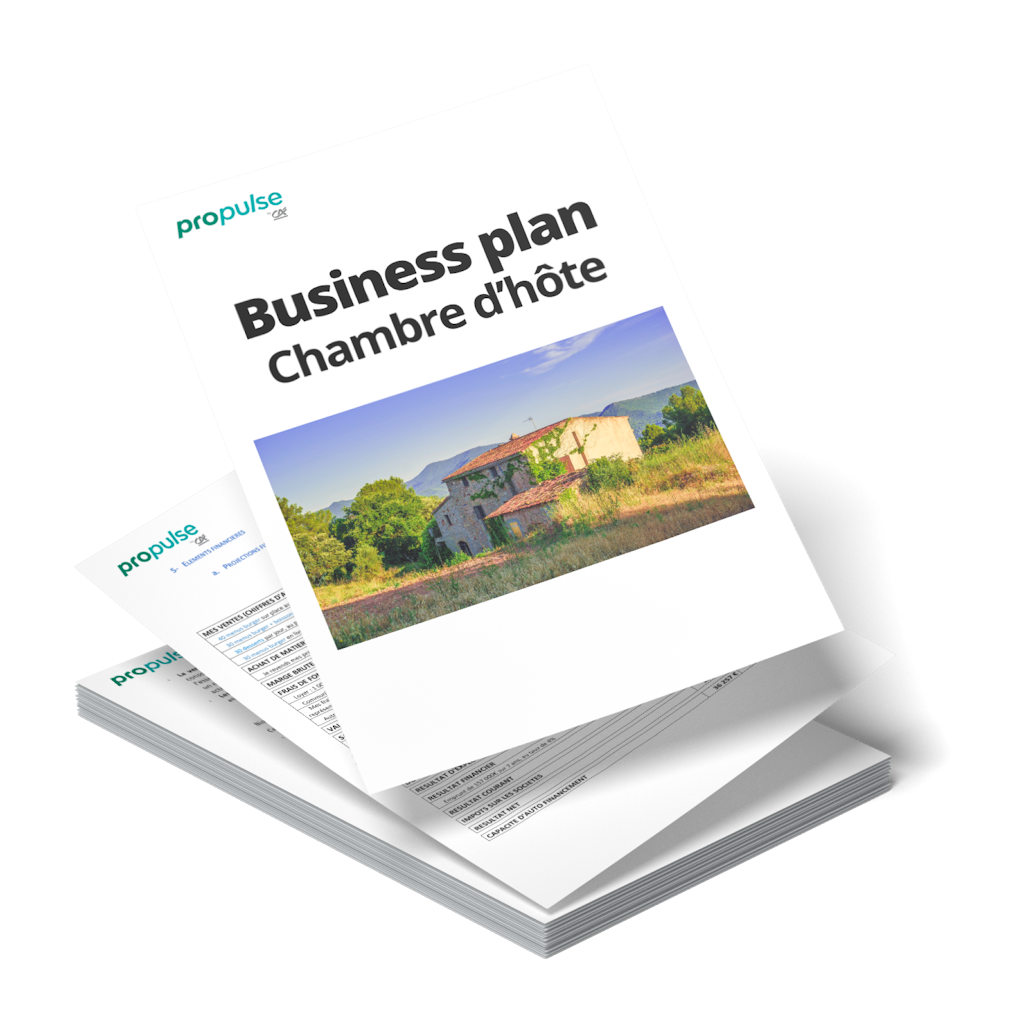 Business plan chambre d'hôtes