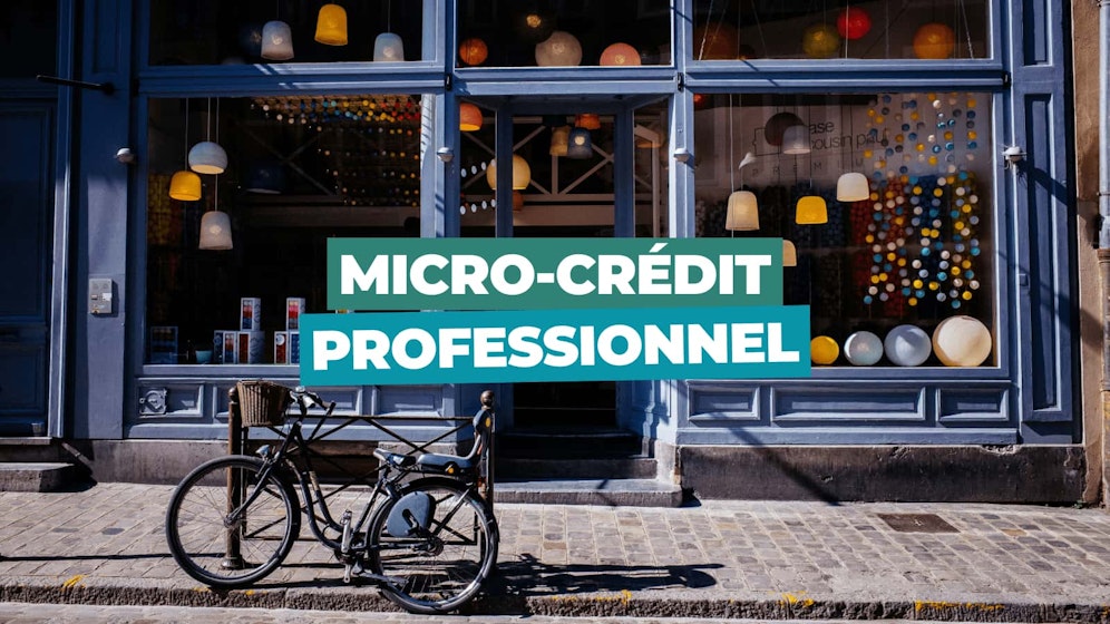 Microcrédit professionnel Microcrédit professionnel