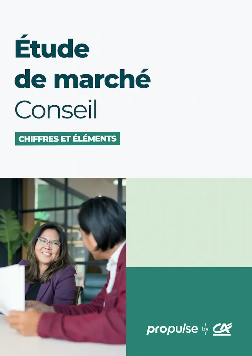Étude de marché du conseil