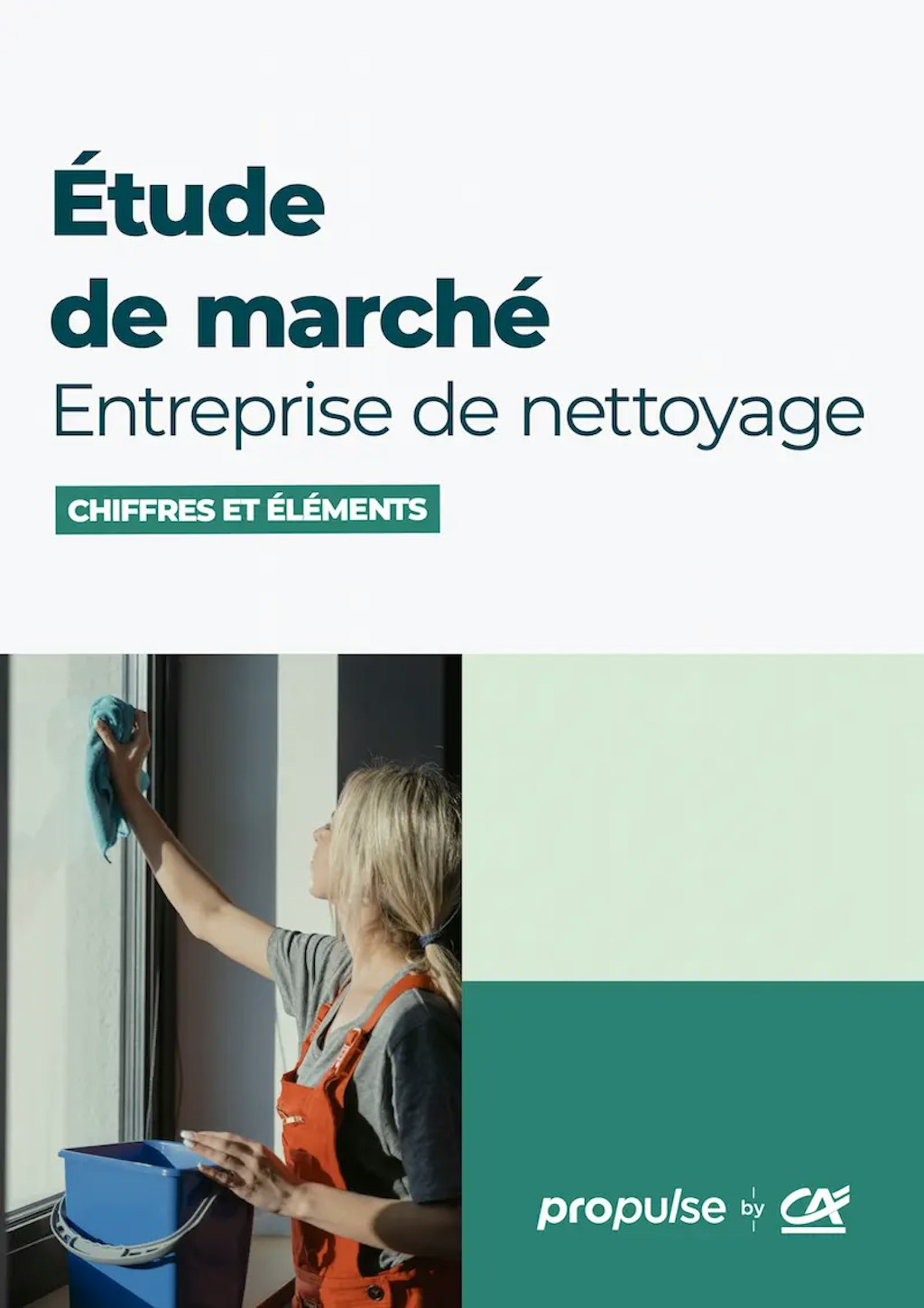Étude de marché des entreprises de nettoyage Étude de marché des entreprises de nettoyage