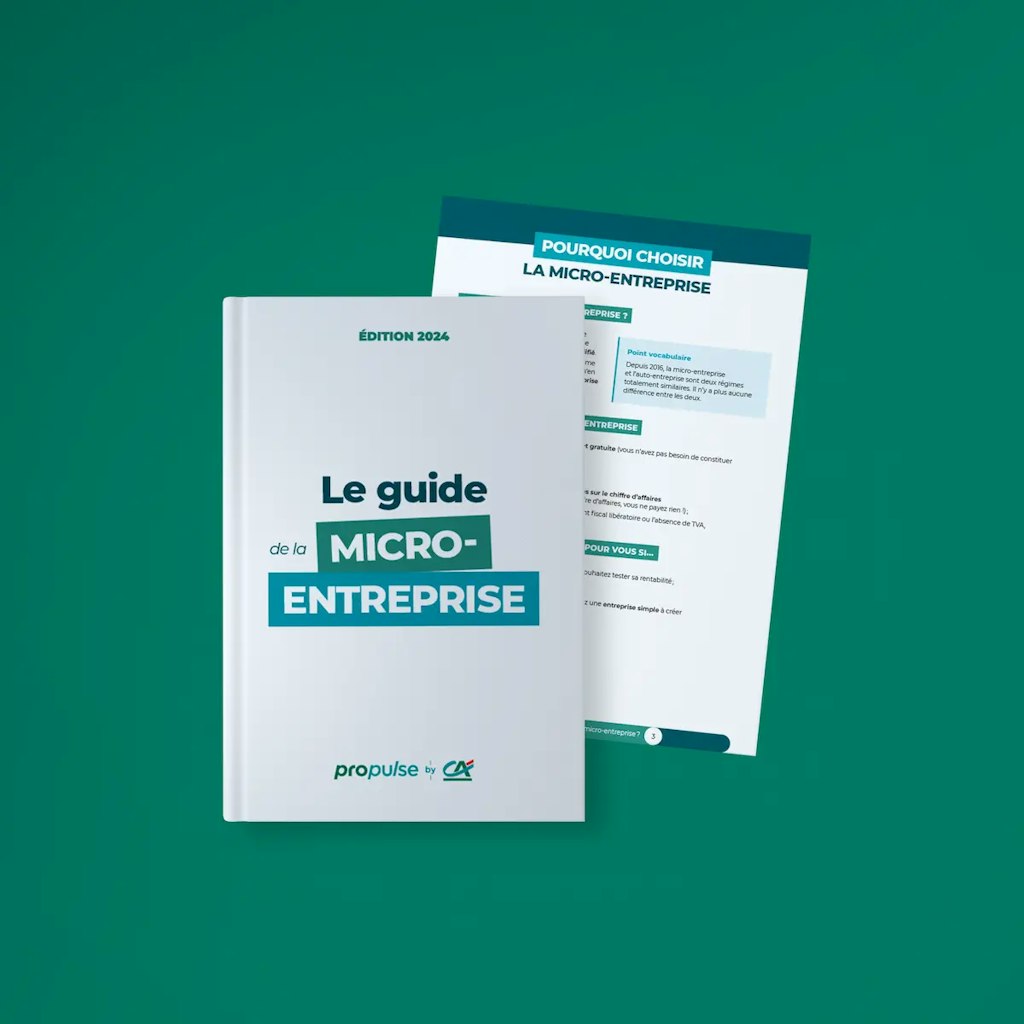 Guide de la micro-entreprise PDF