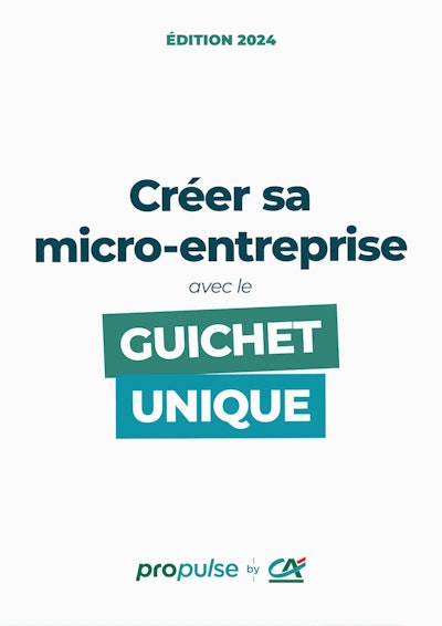 Aperçu guide du Guichet unique 1