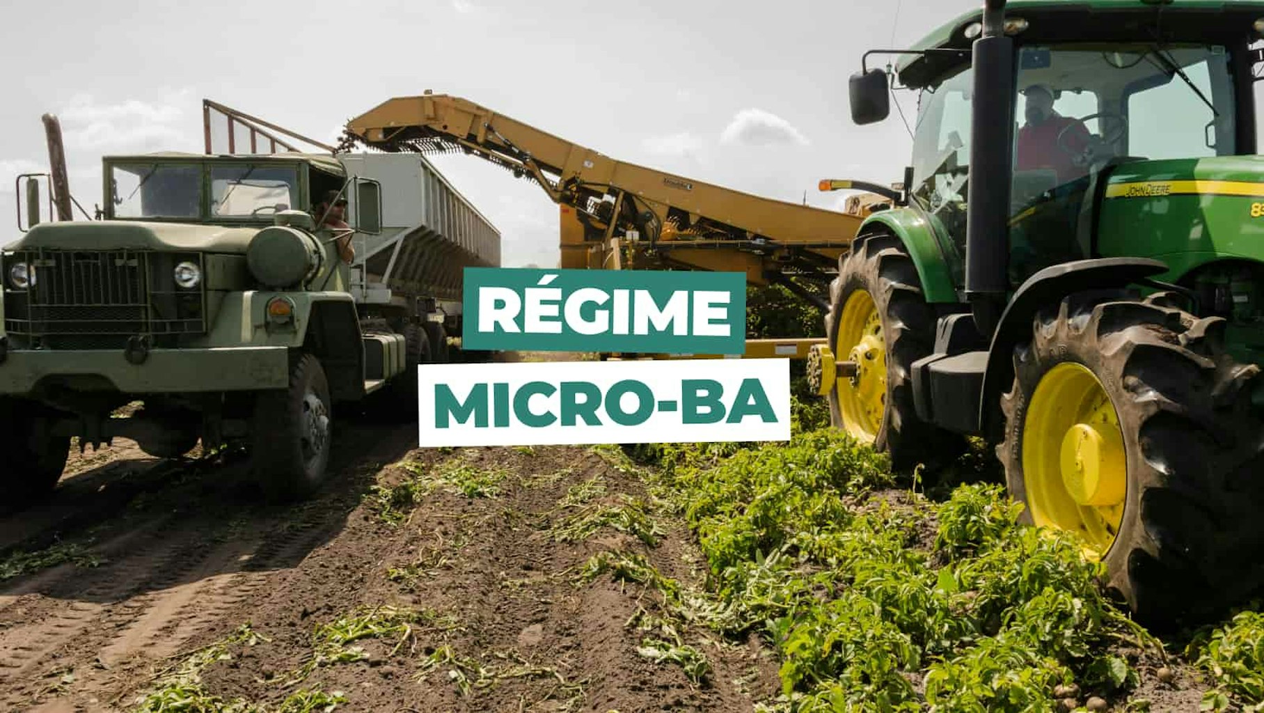 Regime micro ba Regime micro ba