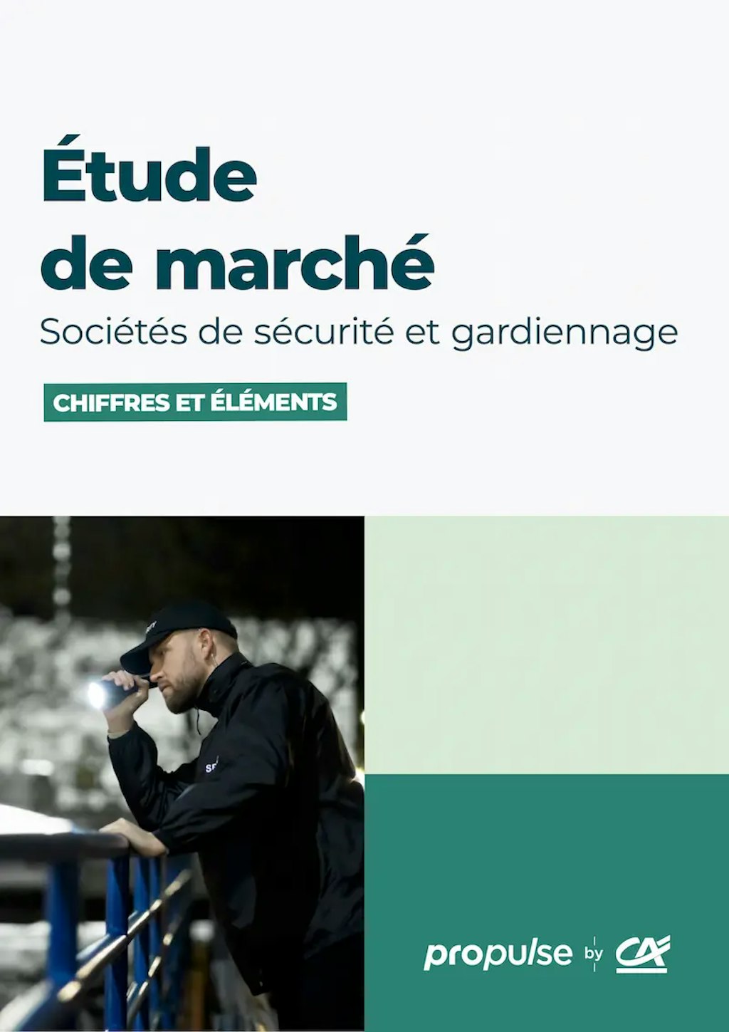 Étude de marché des sociétés de sécurité Étude de marché des sociétés de sécurité
