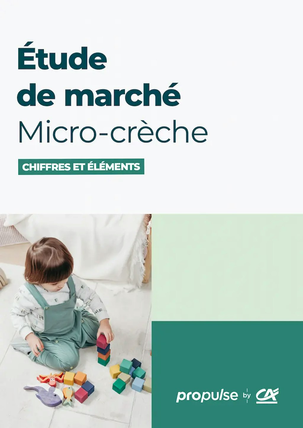 Étude de marché de la micro-crèche