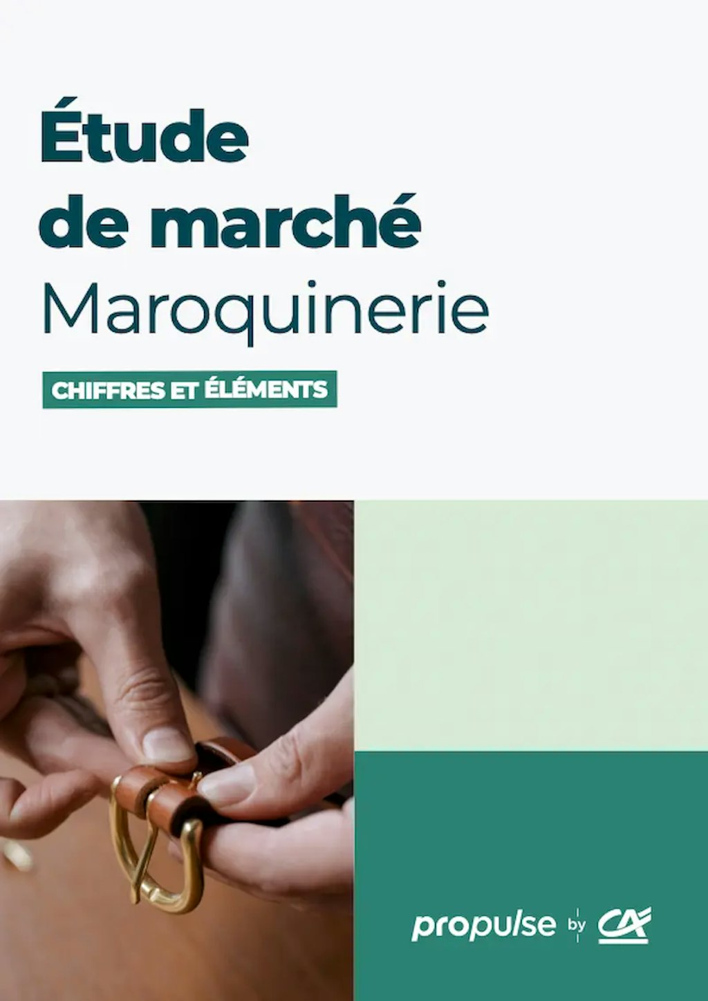 Étude de marché de la maroquinerie Étude de marché de la maroquinerie